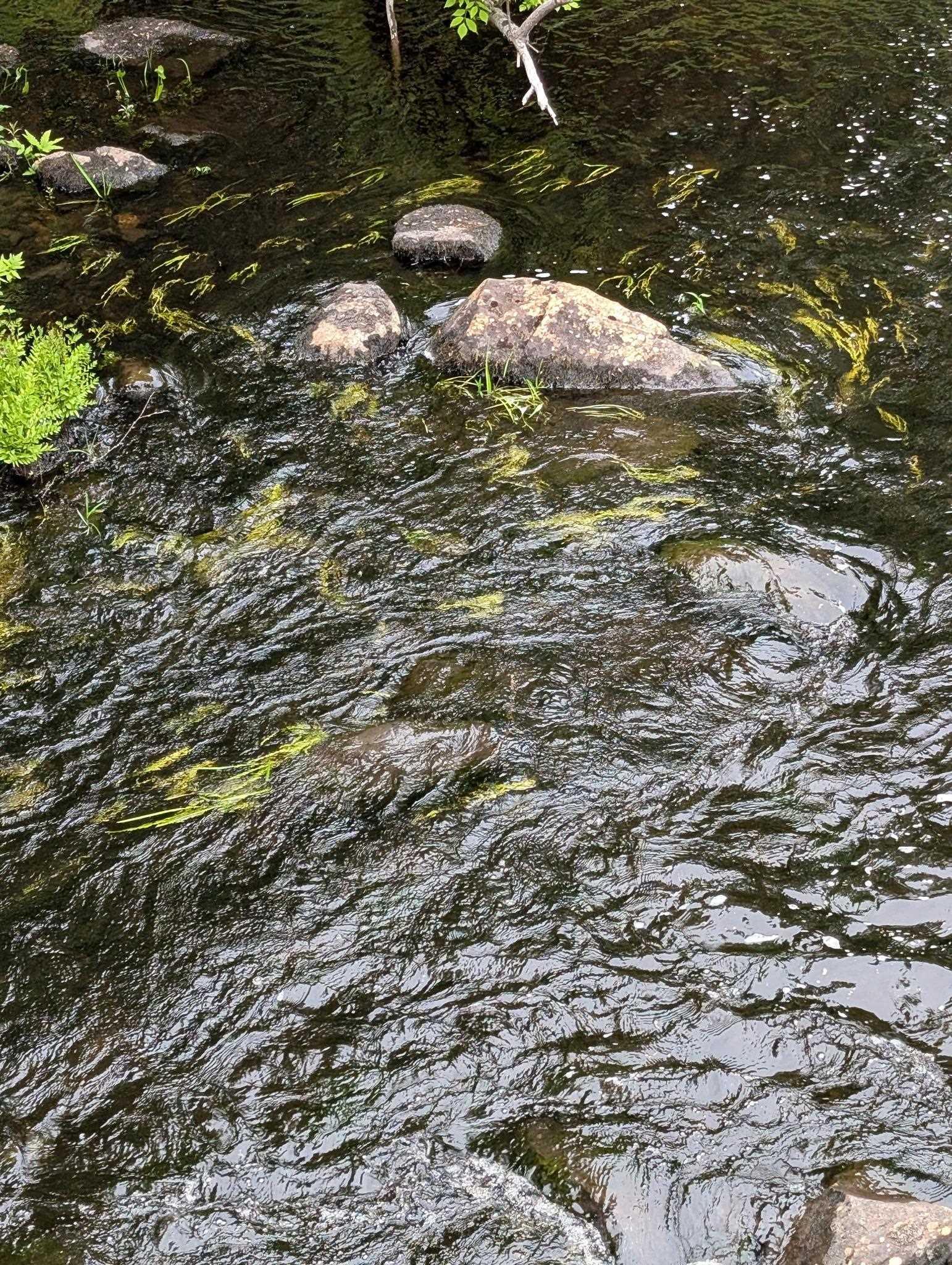 $479,990.00: 67 Station Road, Kinsac