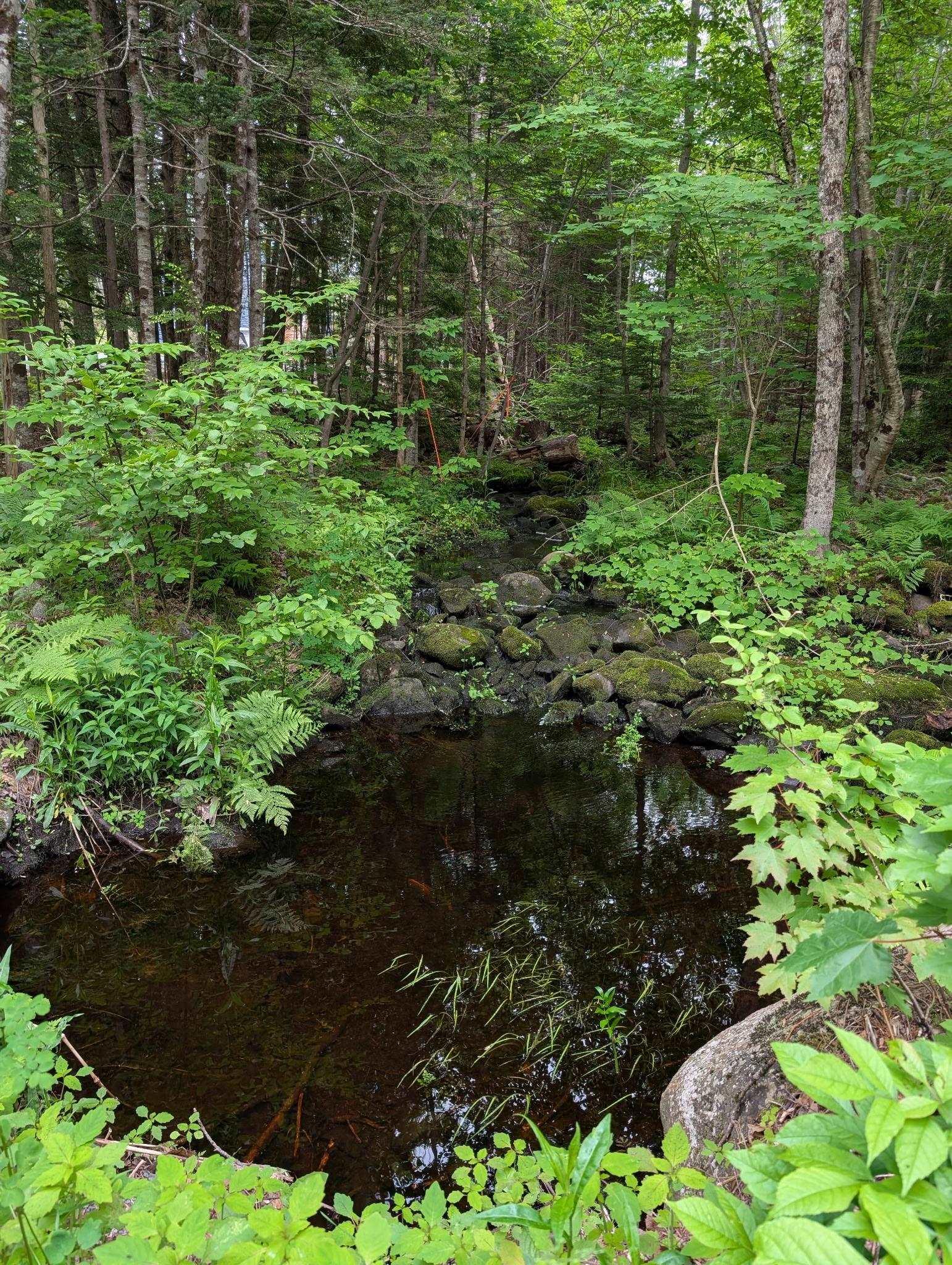 $479,990.00: 67 Station Road, Kinsac