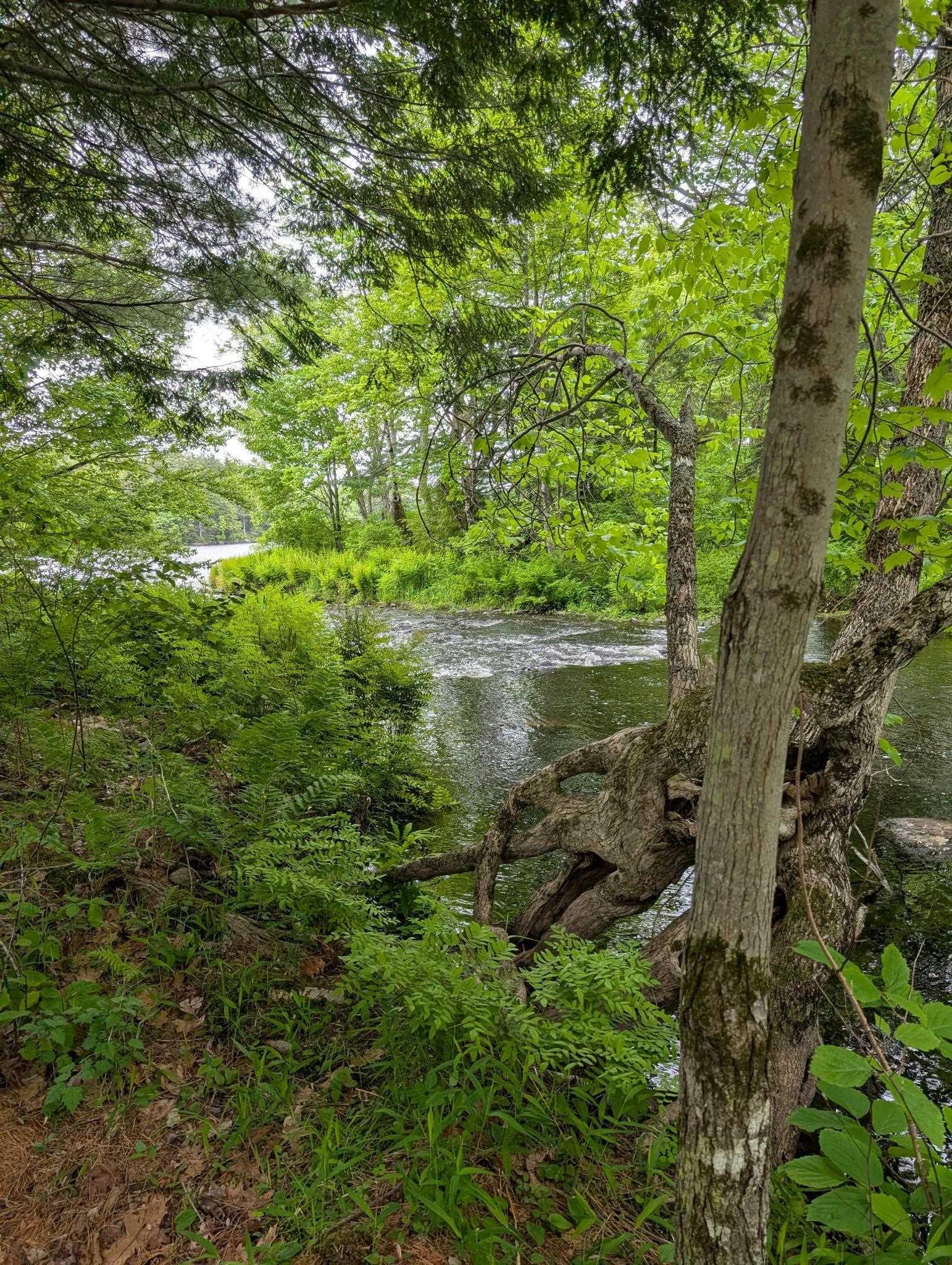 $479,990.00: 67 Station Road, Kinsac