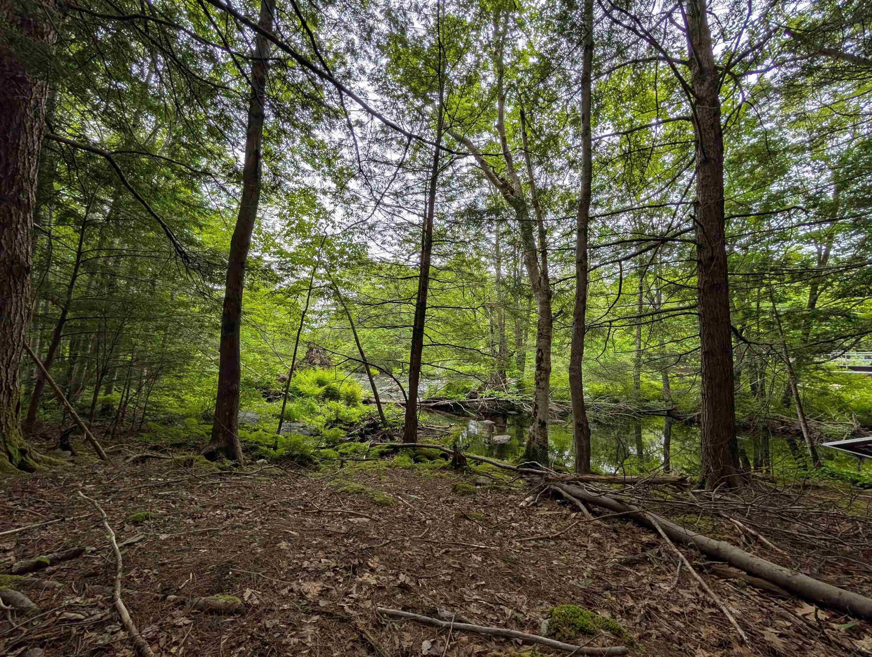 $479,990.00: 67 Station Road, Kinsac