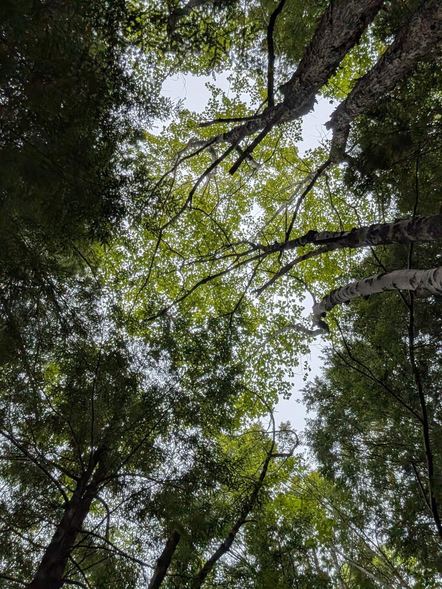 $479,990.00: 67 Station Road, Kinsac