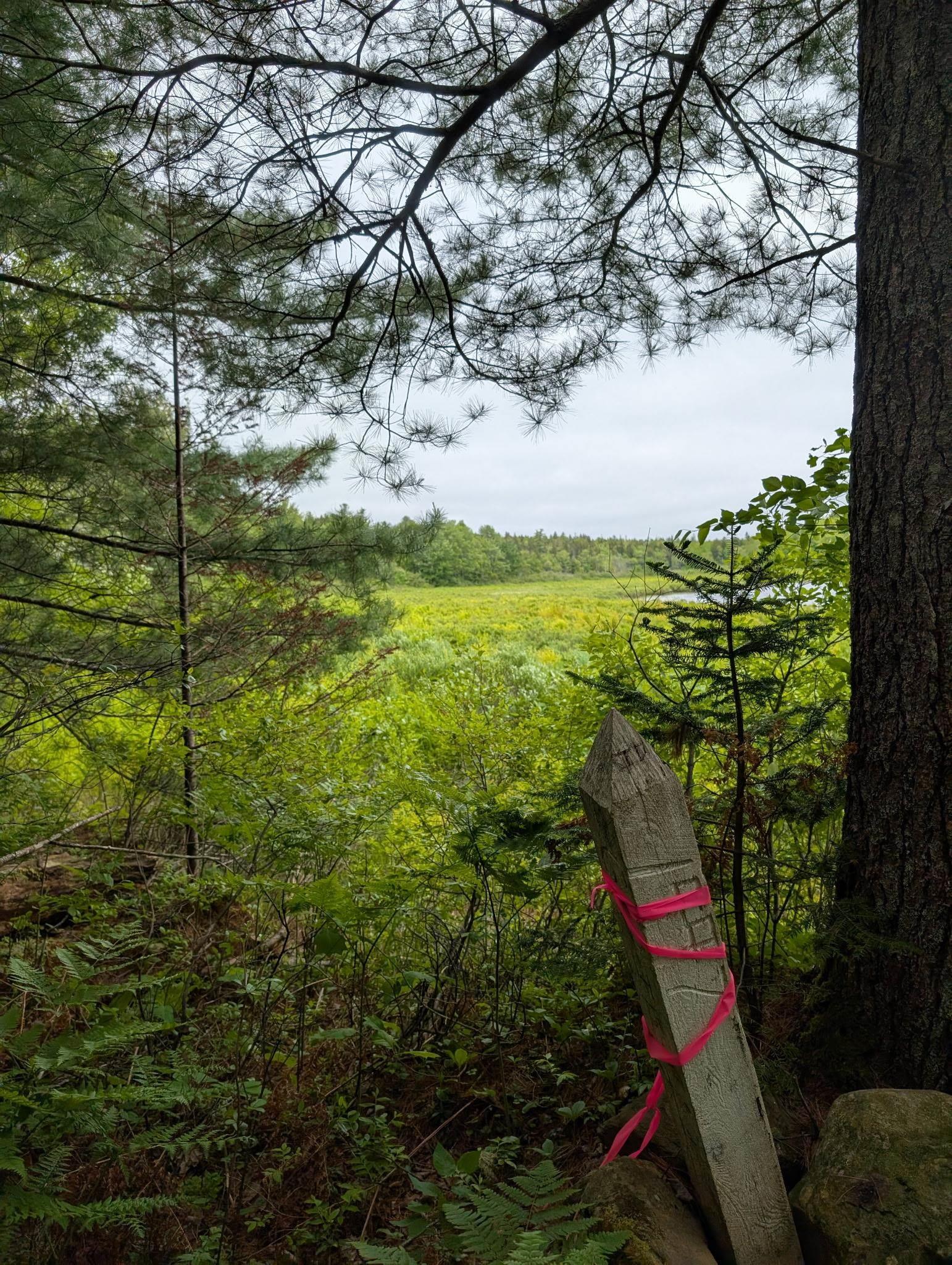 $479,990.00: 67 Station Road, Kinsac