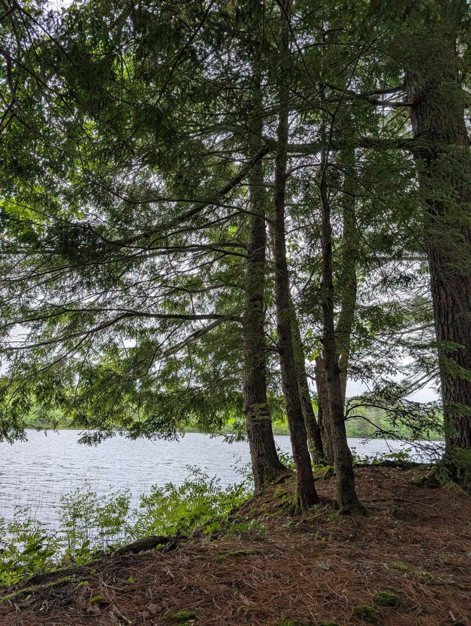 $479,990.00: 67 Station Road, Kinsac