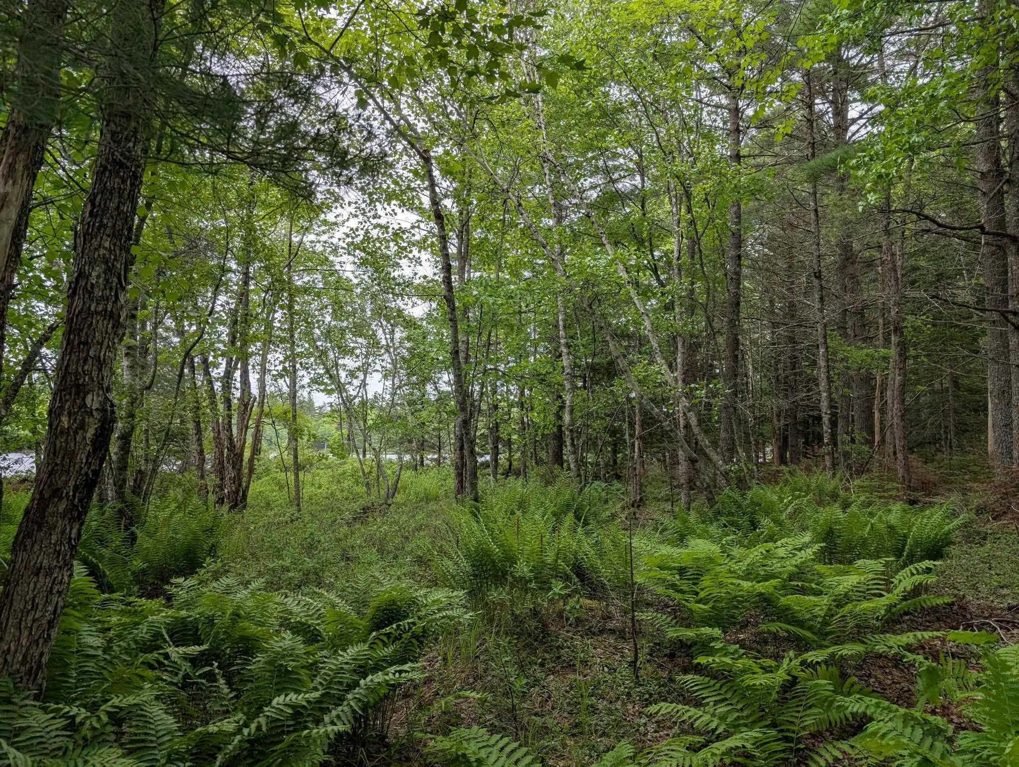 $479,990.00: 67 Station Road, Kinsac