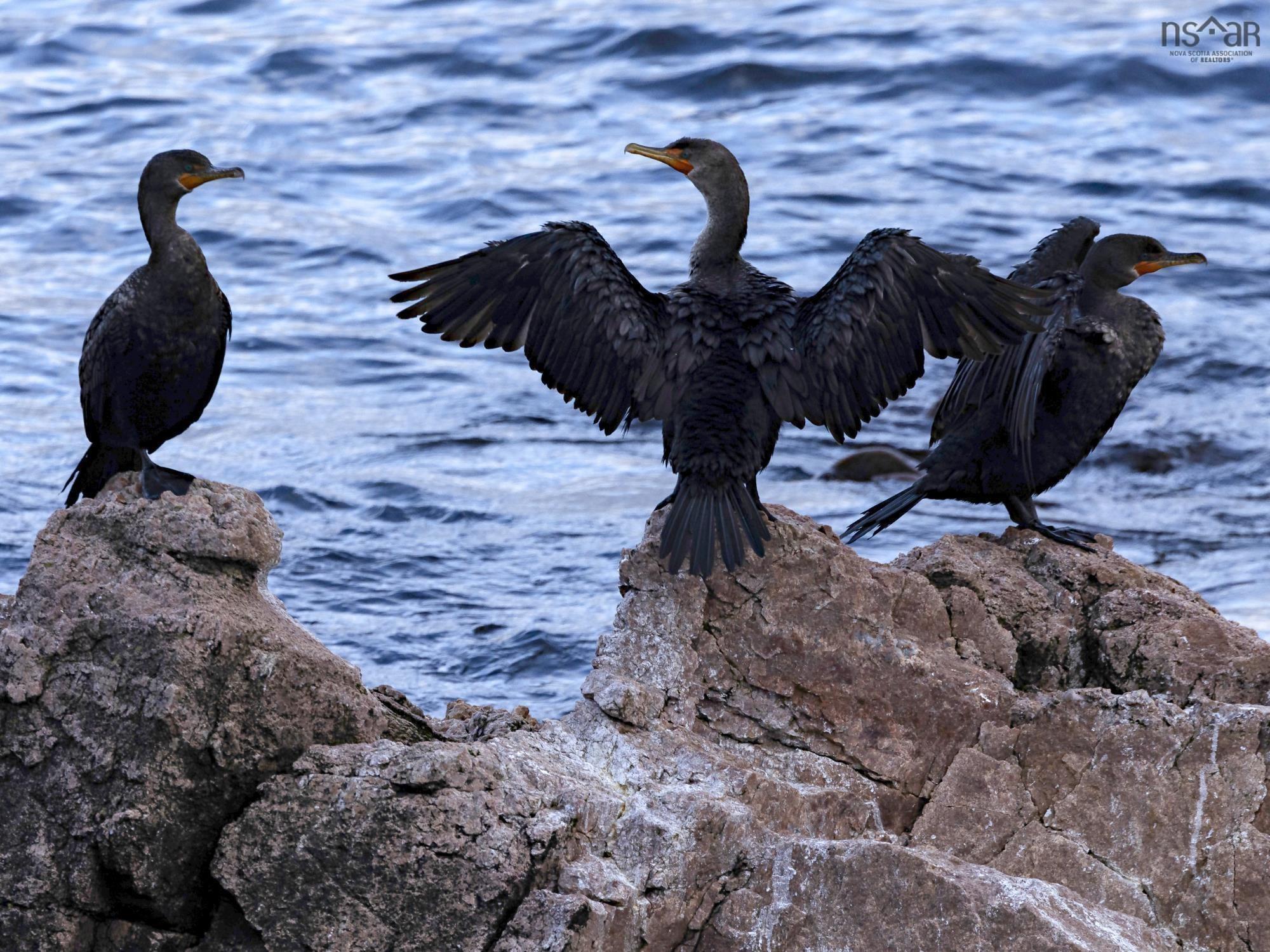 $625,000.00: Unit 404 38693 Cabot Trail, Ingonish Harbour