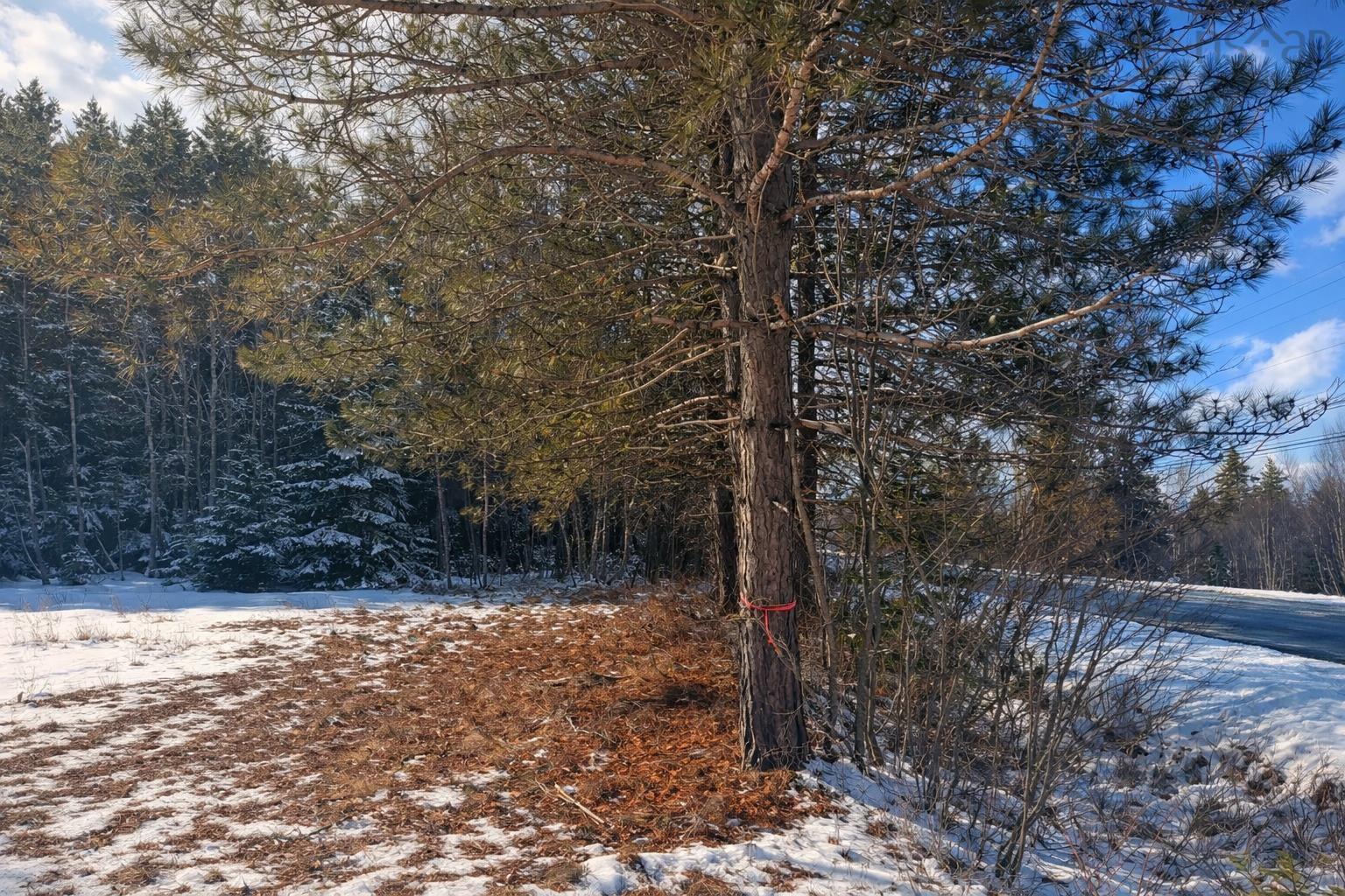 $19,900.00: K Highway 321, River Philip