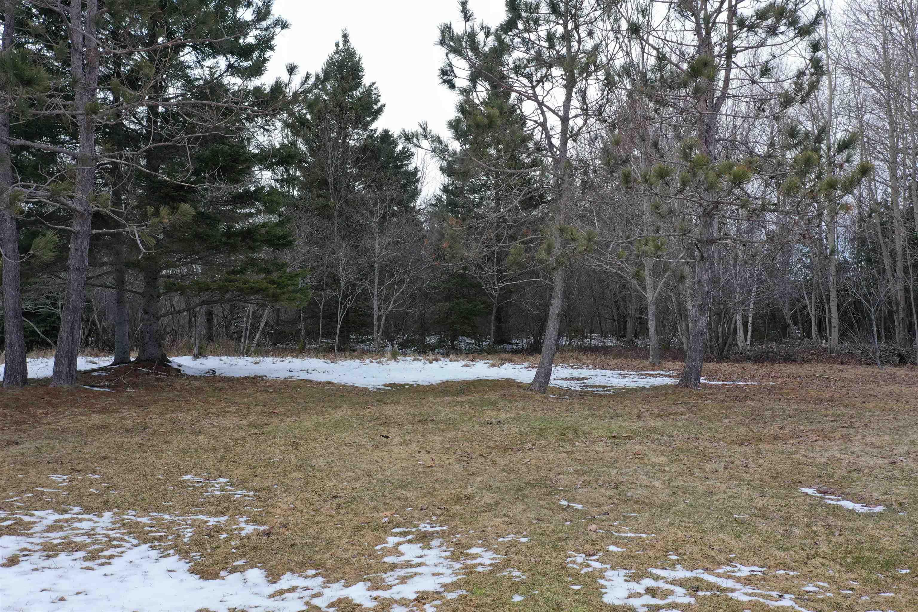 $299,000.00: 4.92 Acres Willow Avenue, New Glasgow