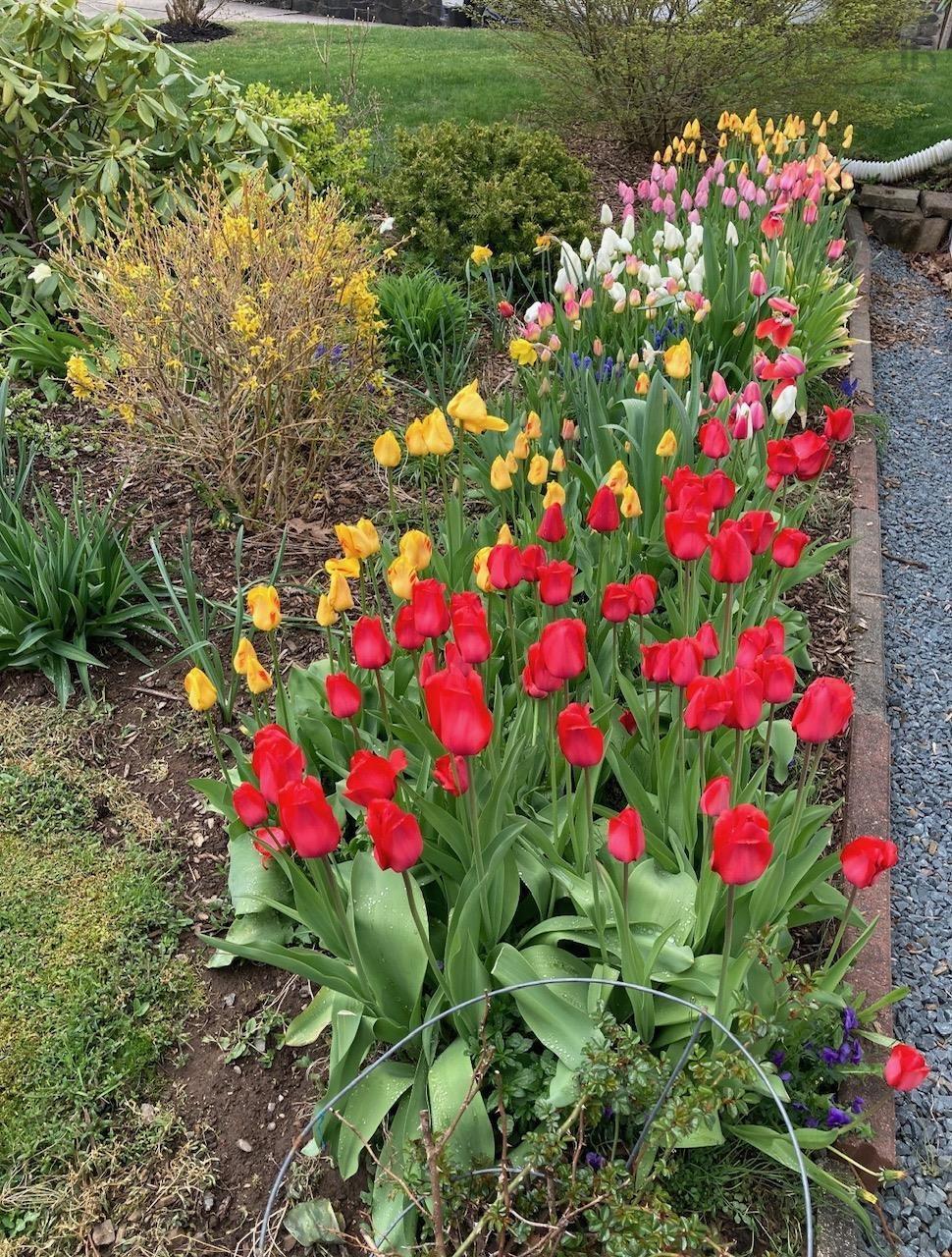 56 Hallmark Avenue, Lower Sackville, NS (MLS 202605621)