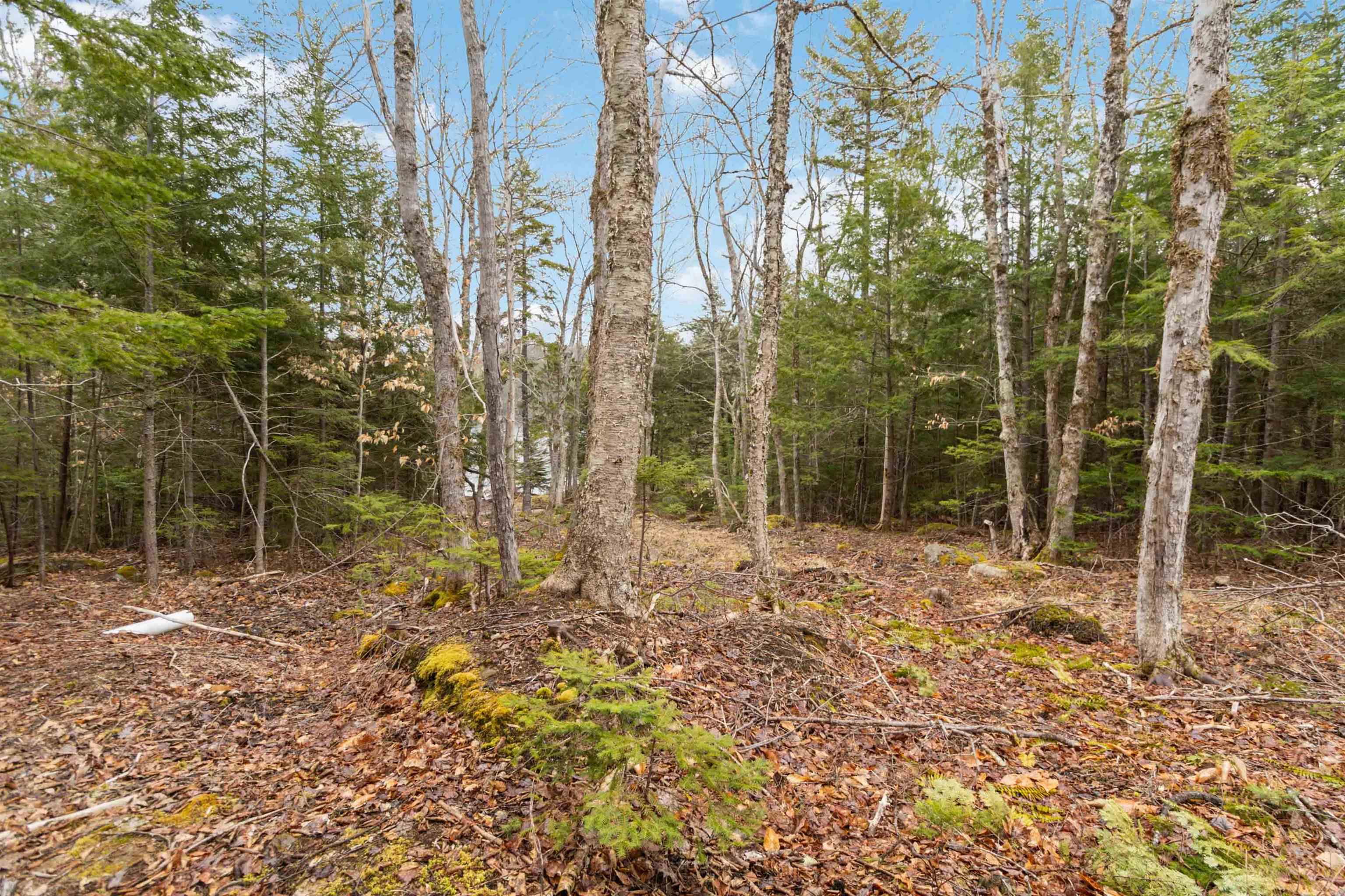 $119,900.00: Lot 27 Eagle Rock Drive, Franey Corner