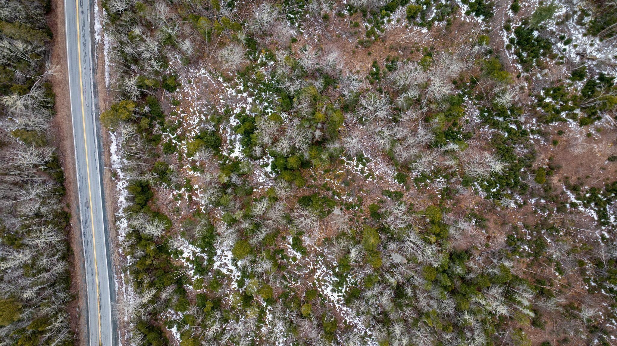 A2-2 Highway 357 Highway, Musquodoboit Harbour, NS (MLS 202605625)