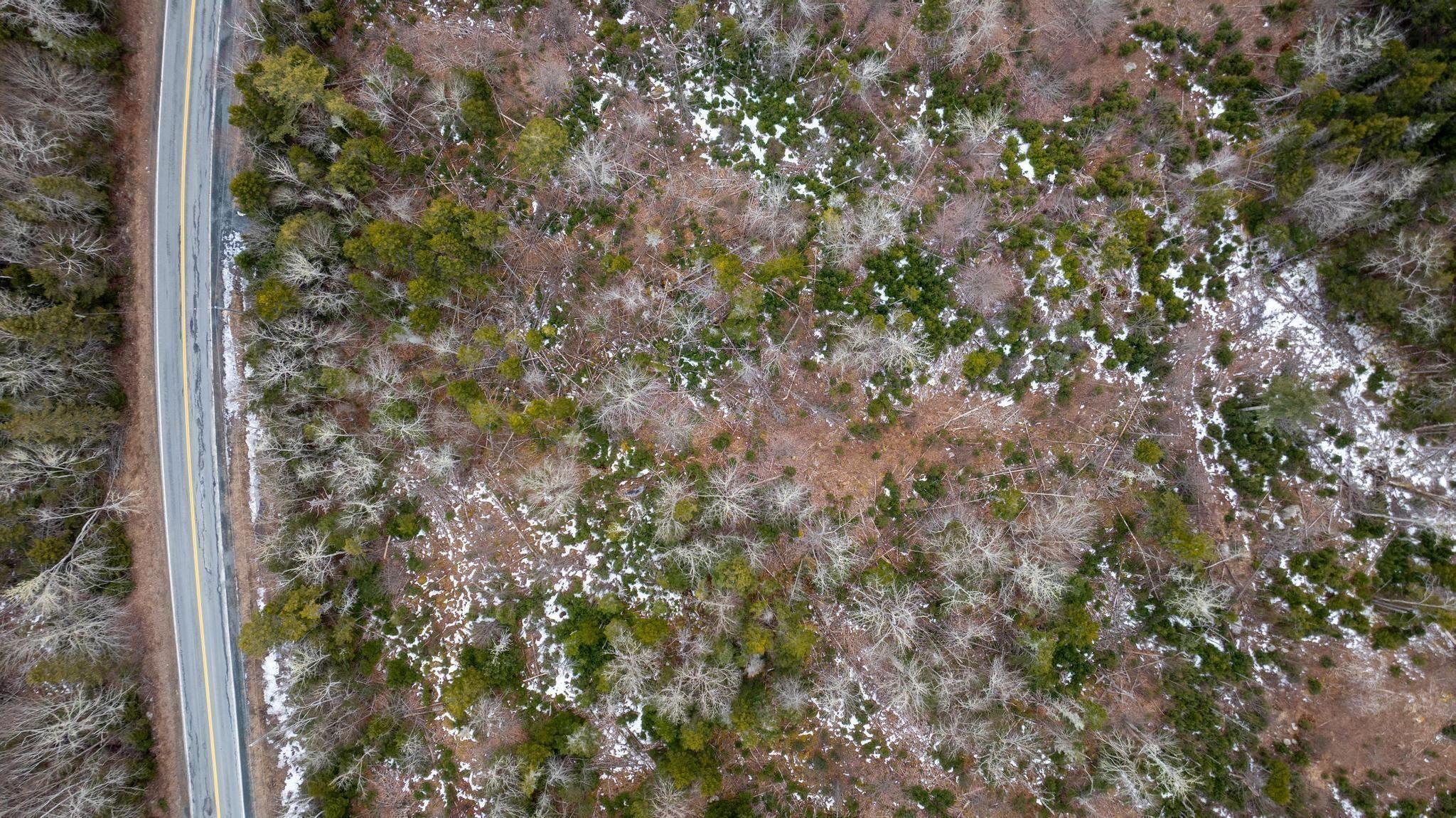 A2-2 Highway 357 Highway, Musquodoboit Harbour, NS (MLS 202605625)