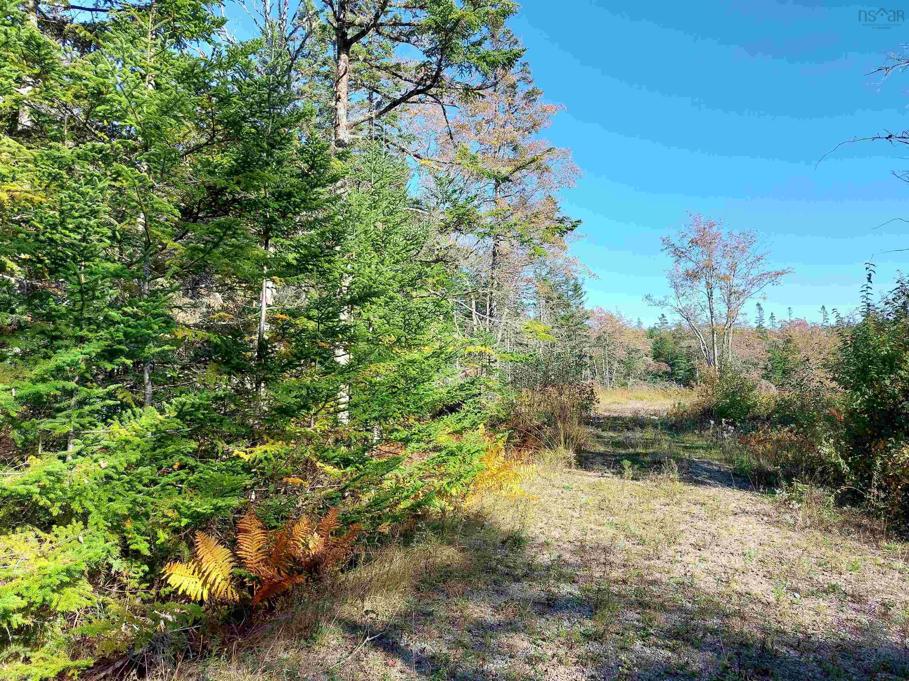 $159,000.00: Lot 98-6B Gabe MacIsaac Dr Salem Road, Loch Lomond