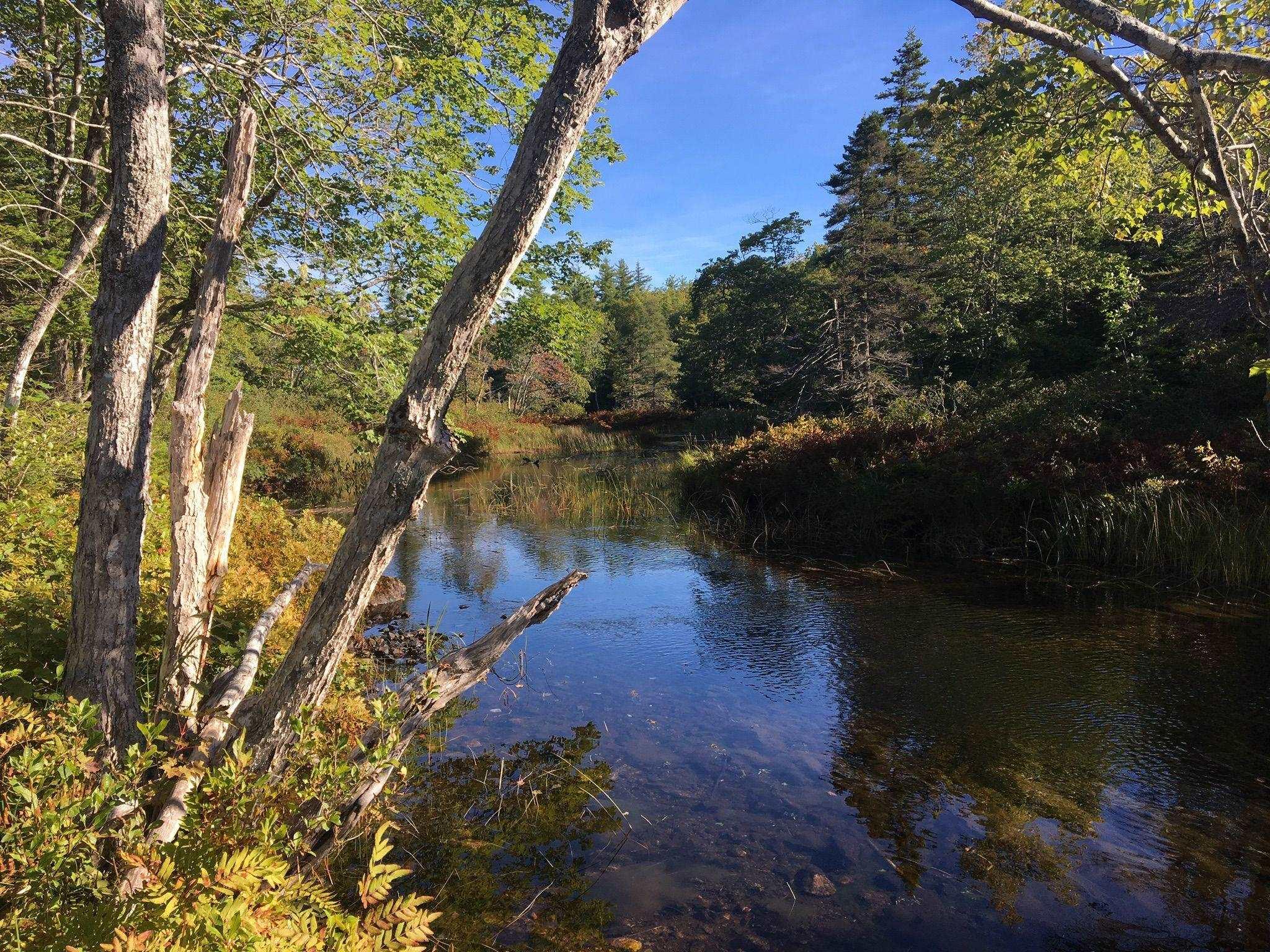 $159,000.00: Lot 98-6B Gabe MacIsaac Dr Salem Road, Loch Lomond