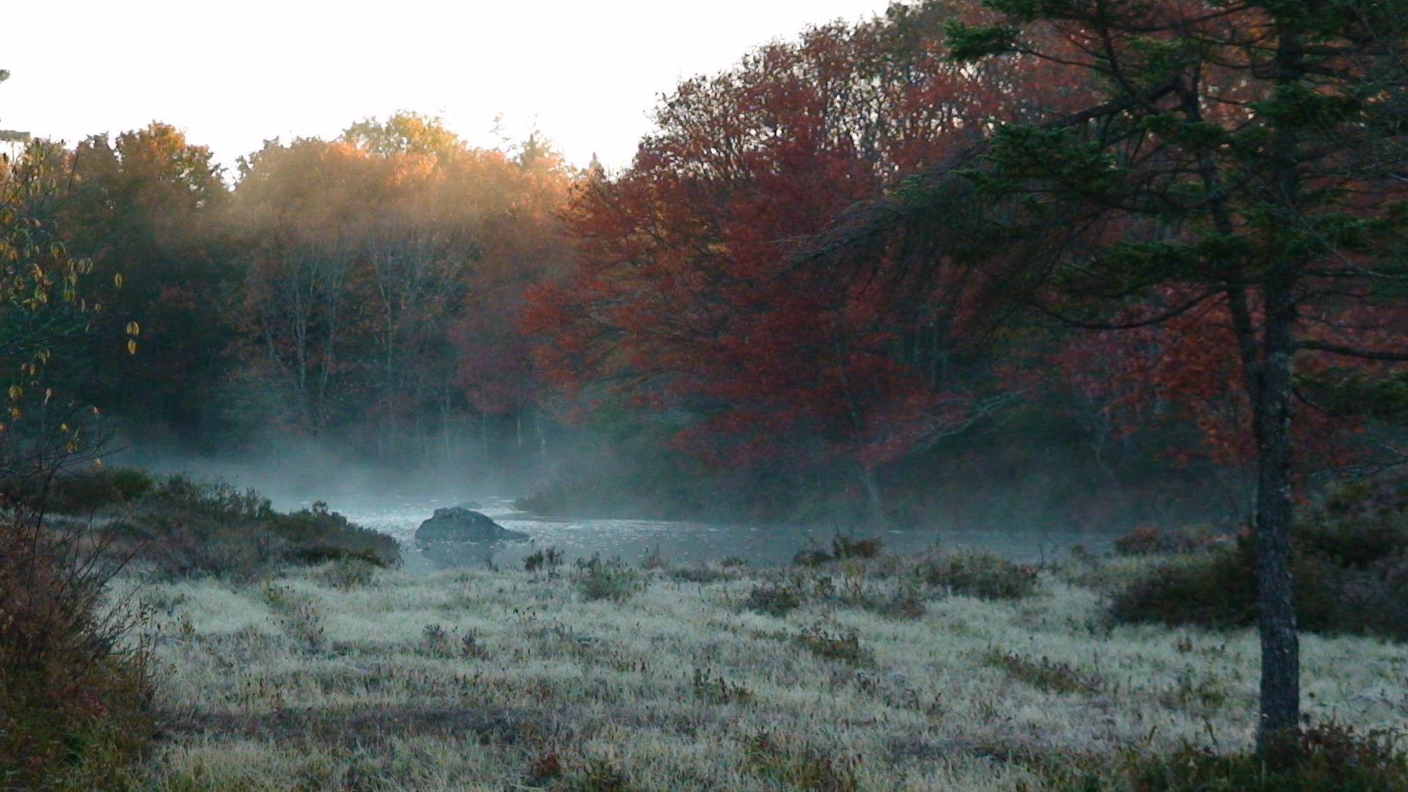 $200,000.00: Lot Napier River, East Kemptville