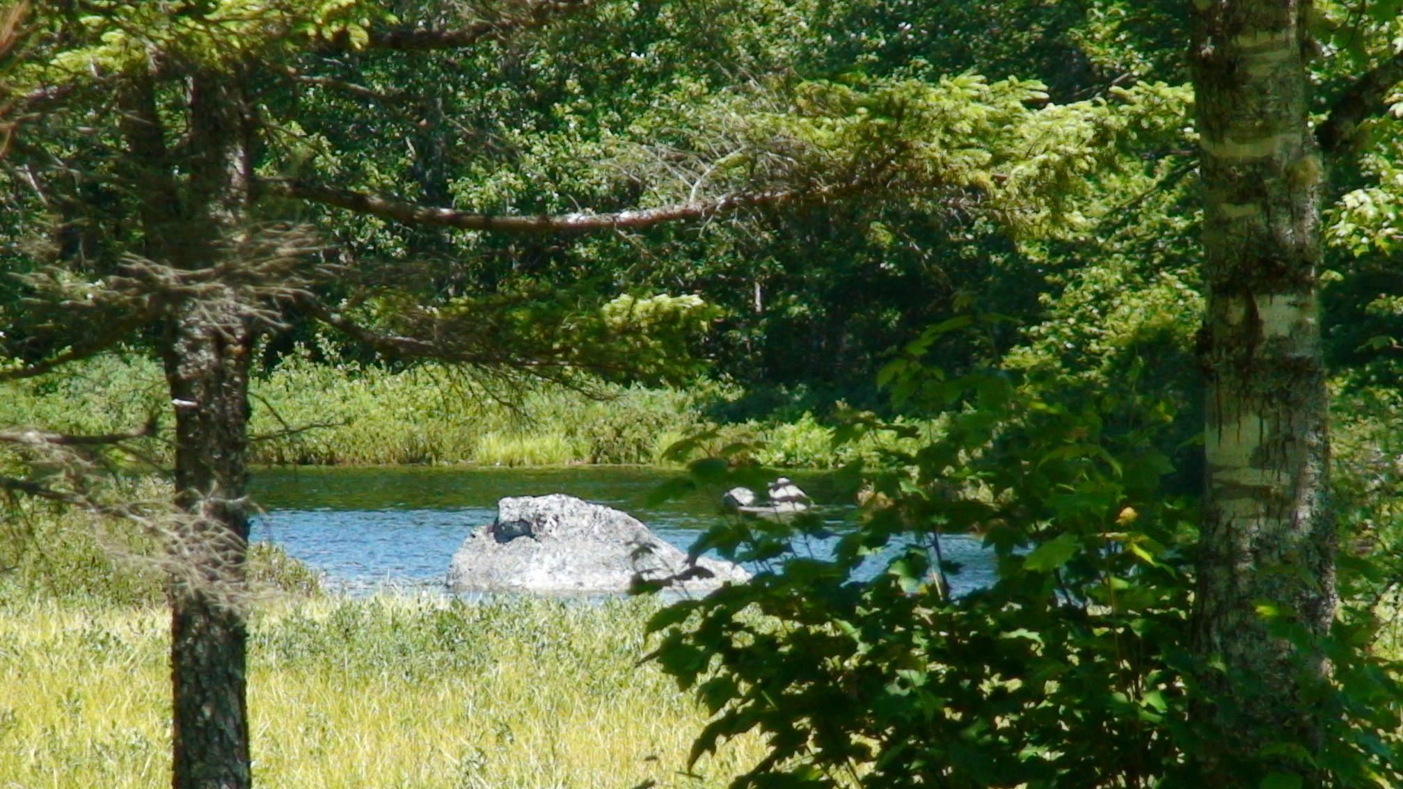 $200,000.00: Lot Napier River, East Kemptville