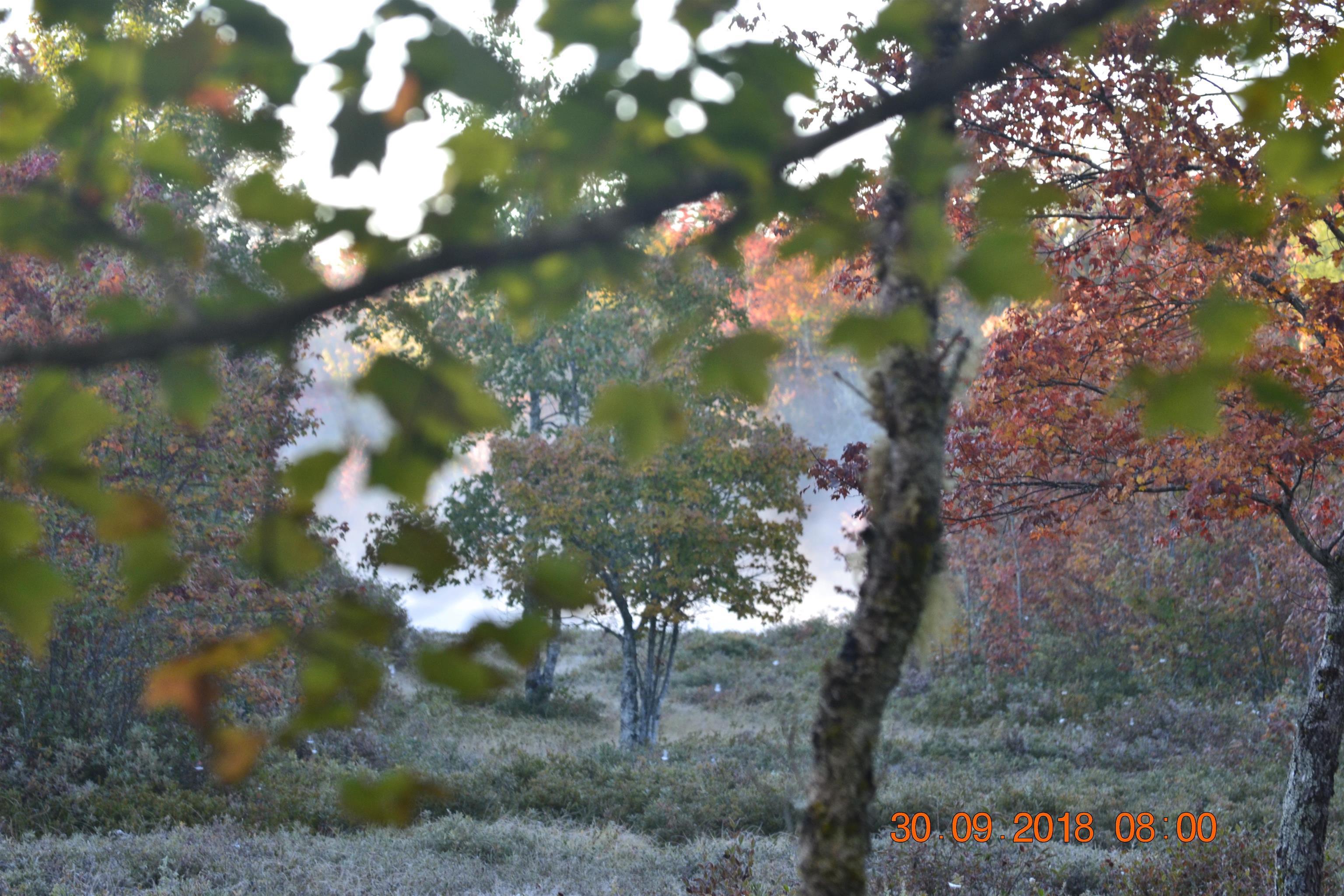 $200,000.00: Lot Napier River, East Kemptville