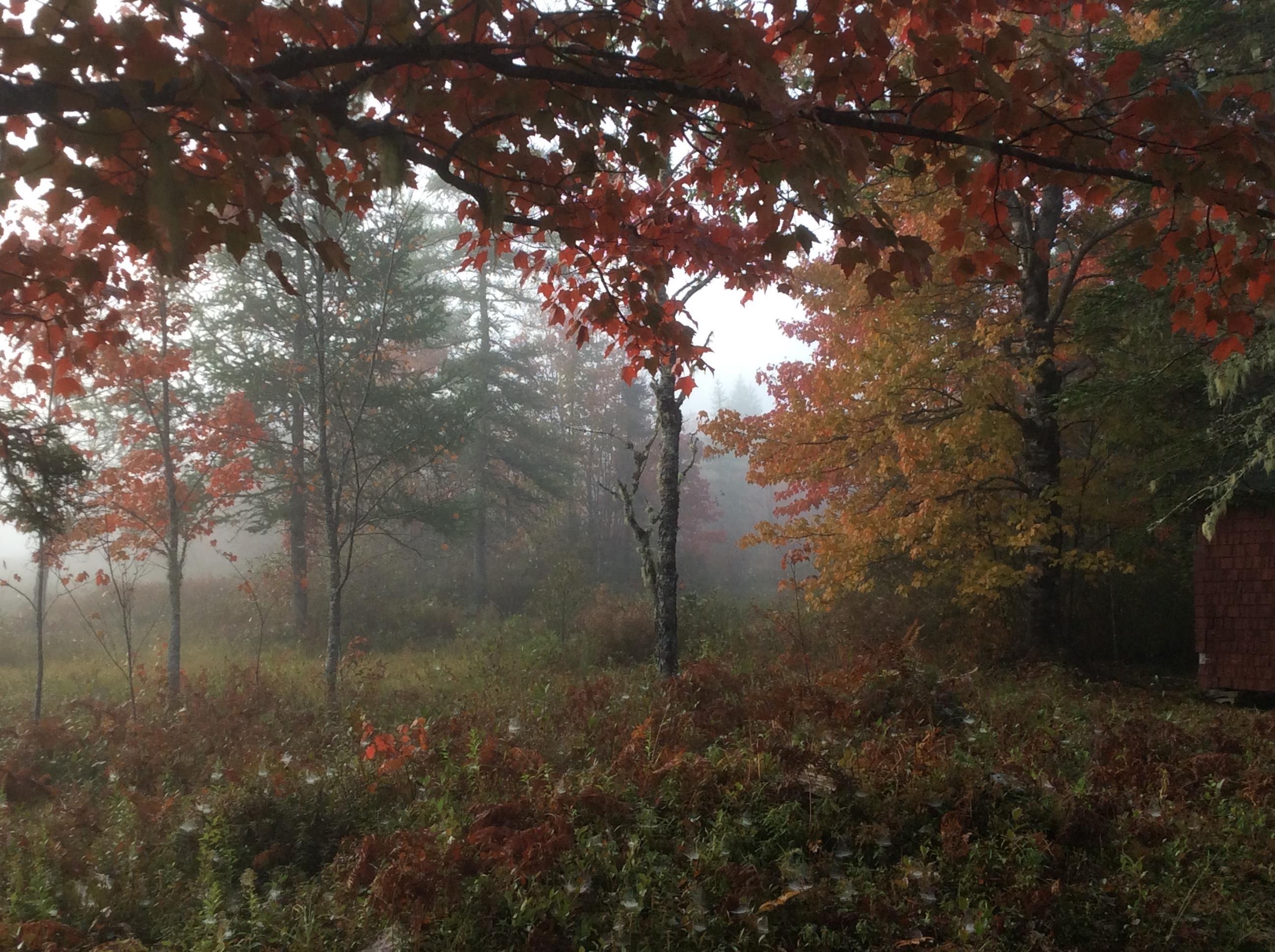 $200,000.00: Lot Napier River, East Kemptville