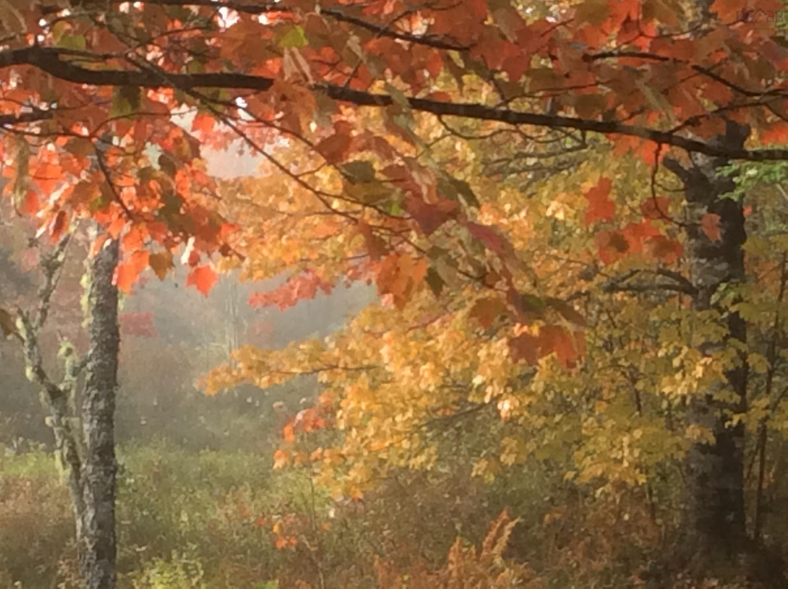 $200,000.00: Lot Napier River, East Kemptville