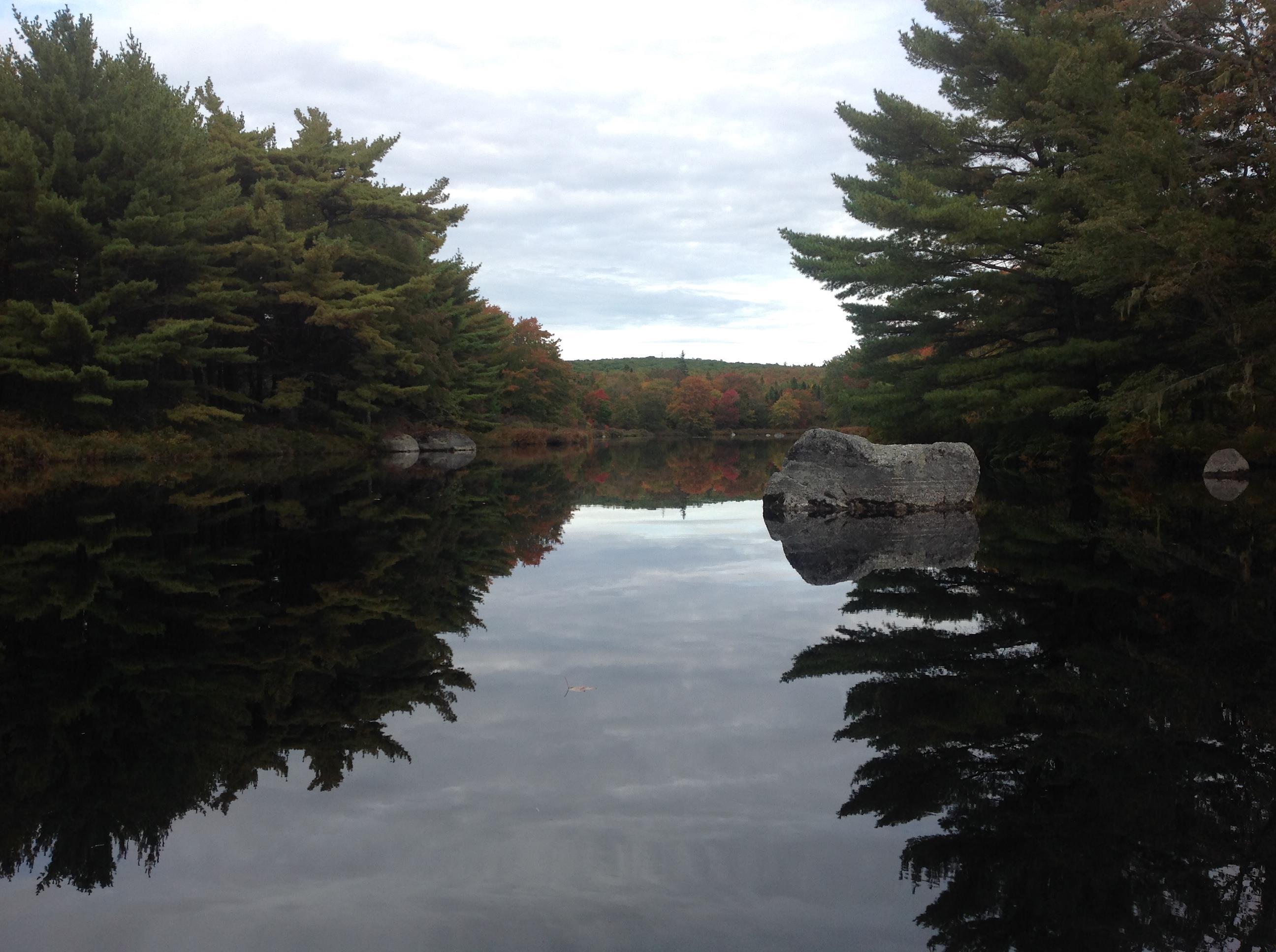 $200,000.00: Lot Napier River, East Kemptville