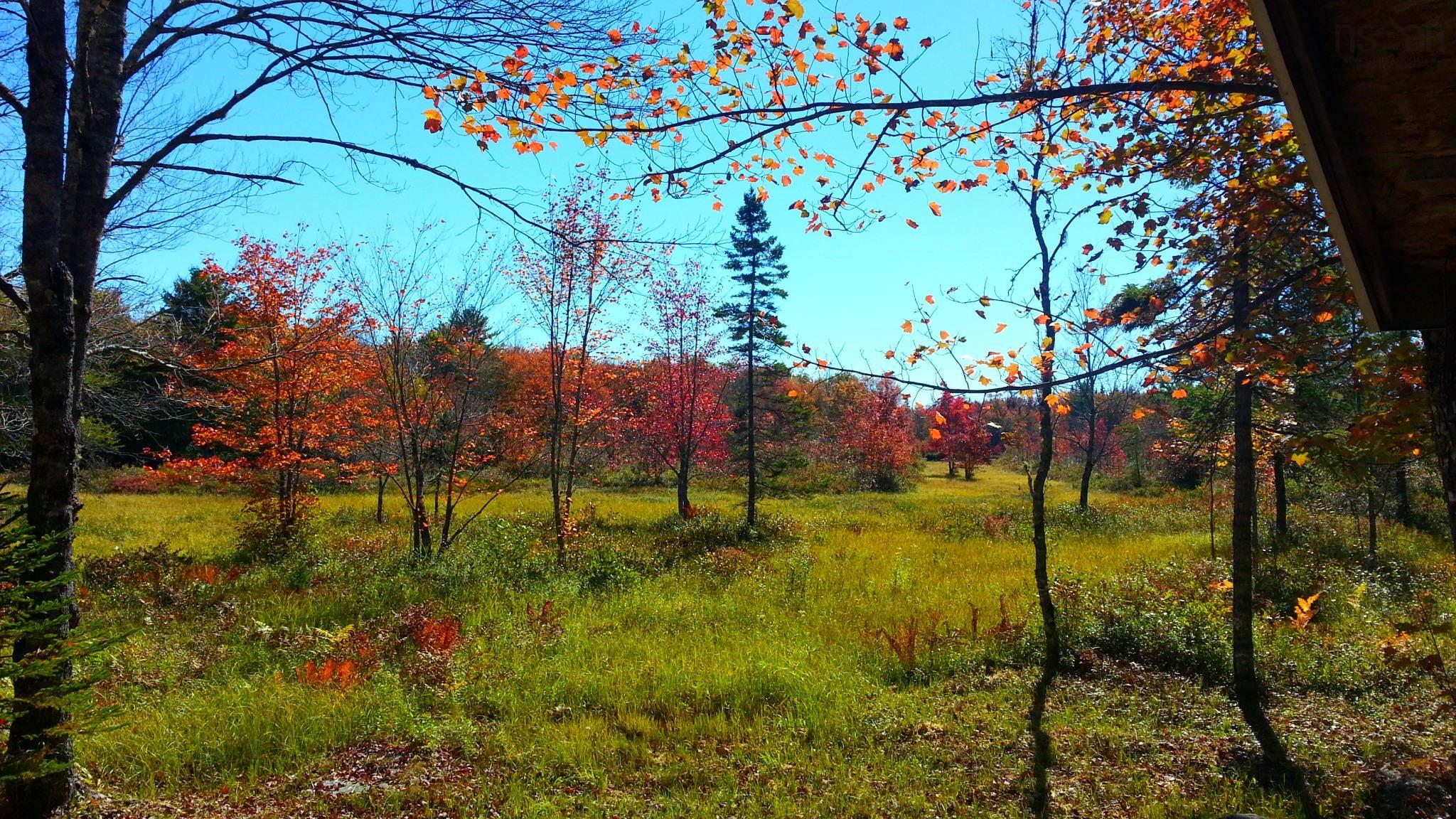 $200,000.00: Lot Napier River, East Kemptville