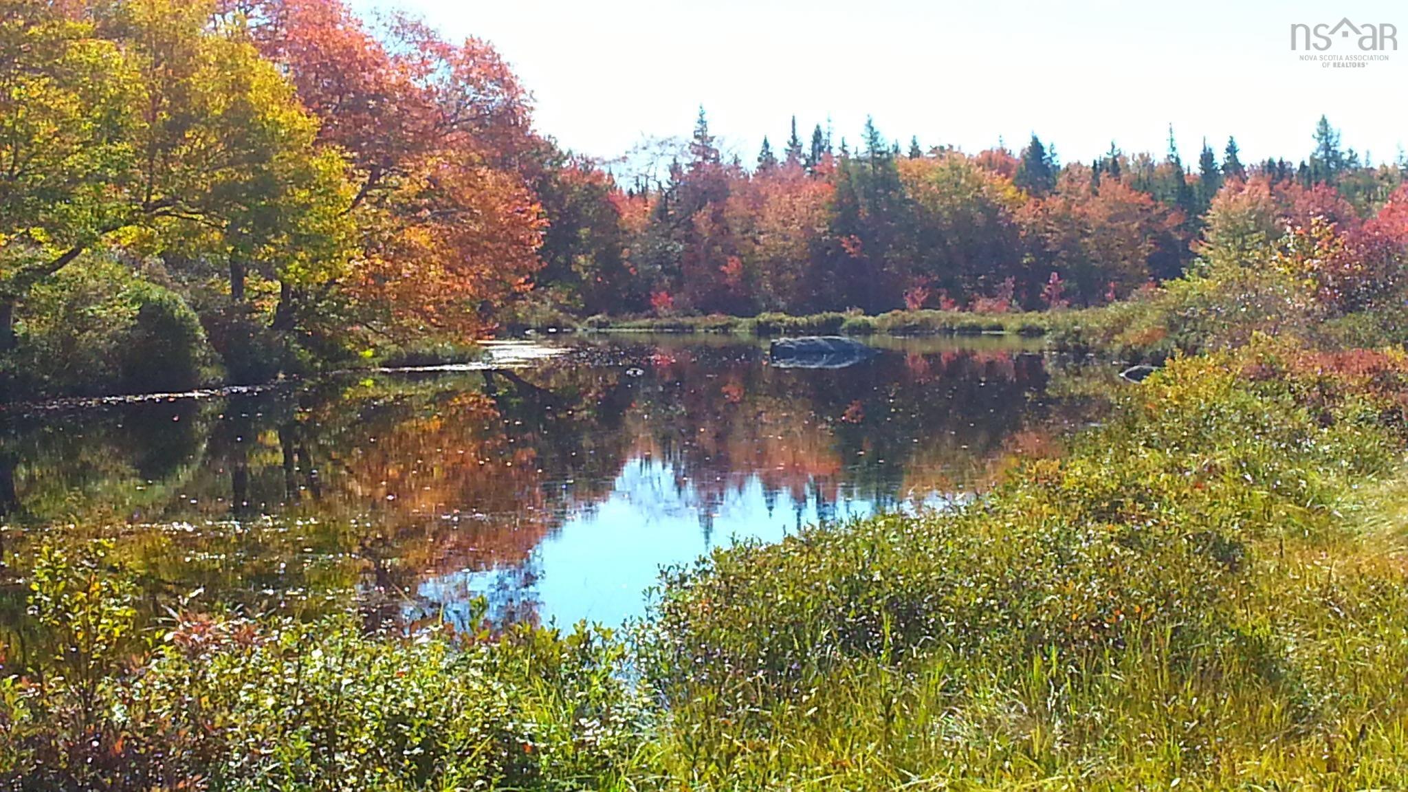 $200,000.00: Lot Napier River, East Kemptville