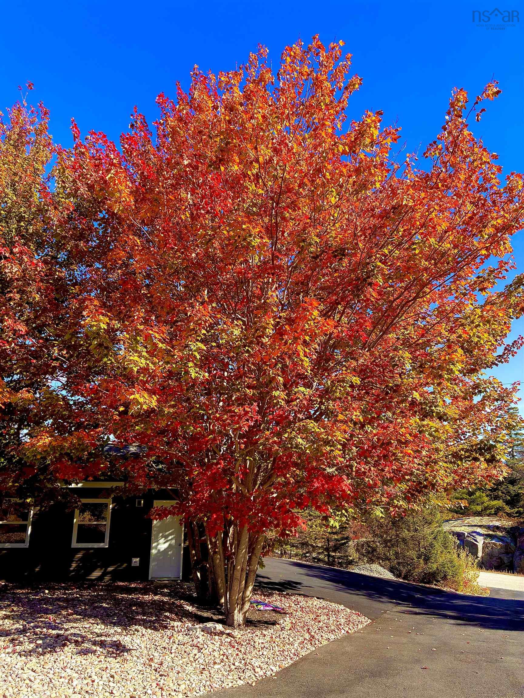 40 Sutherland Dr Drive, Fall River, NS (MLS 202605715)