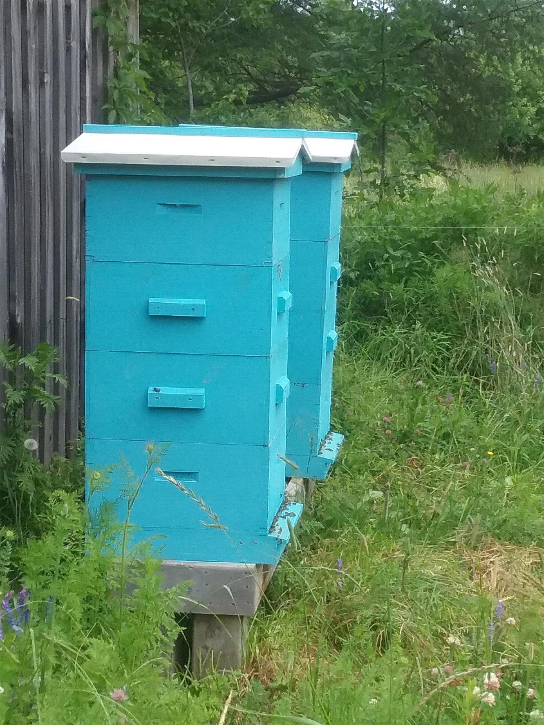 $549,900.00: 60 Church Street, Wallace