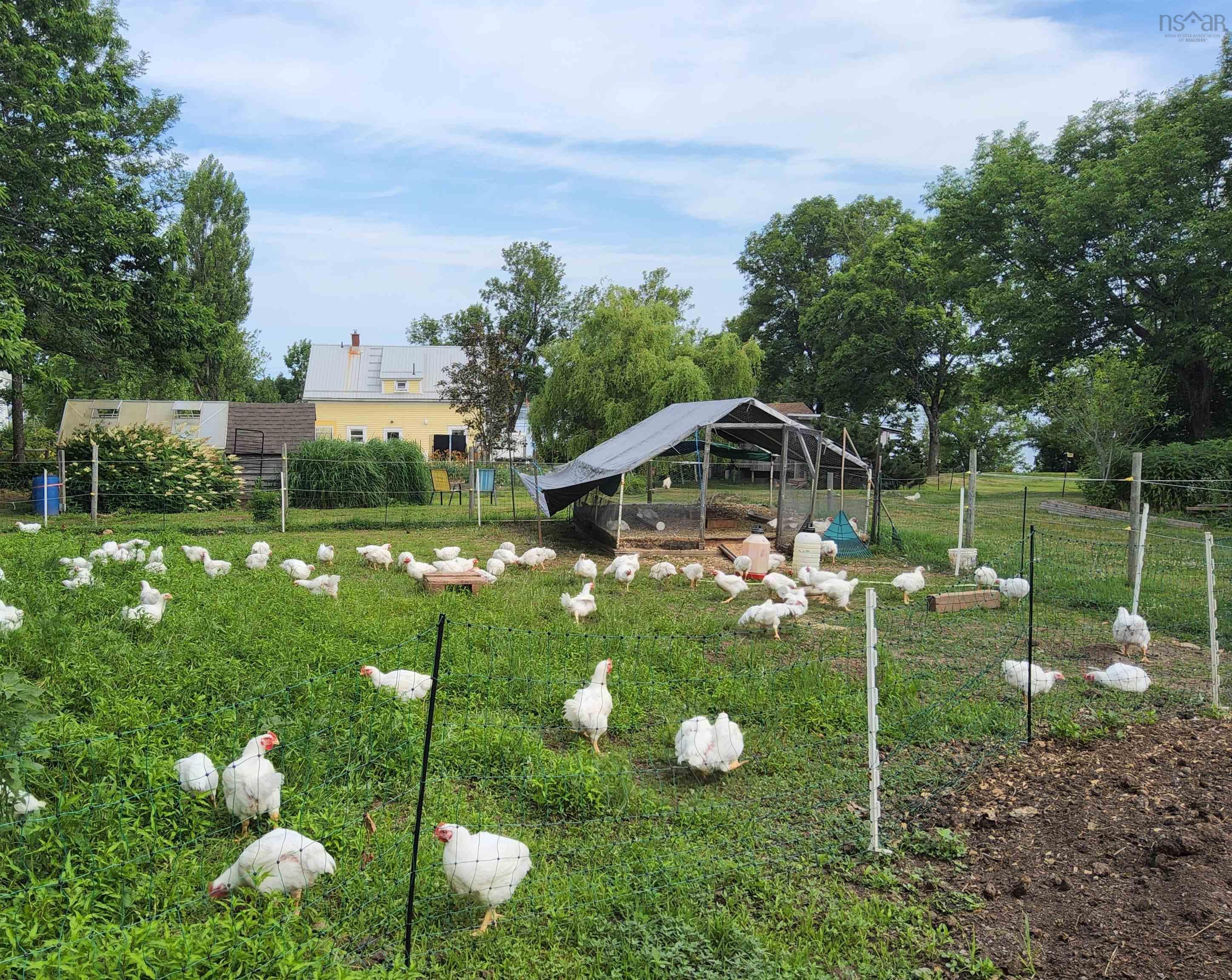 $549,900.00: 60 Church Street, Wallace