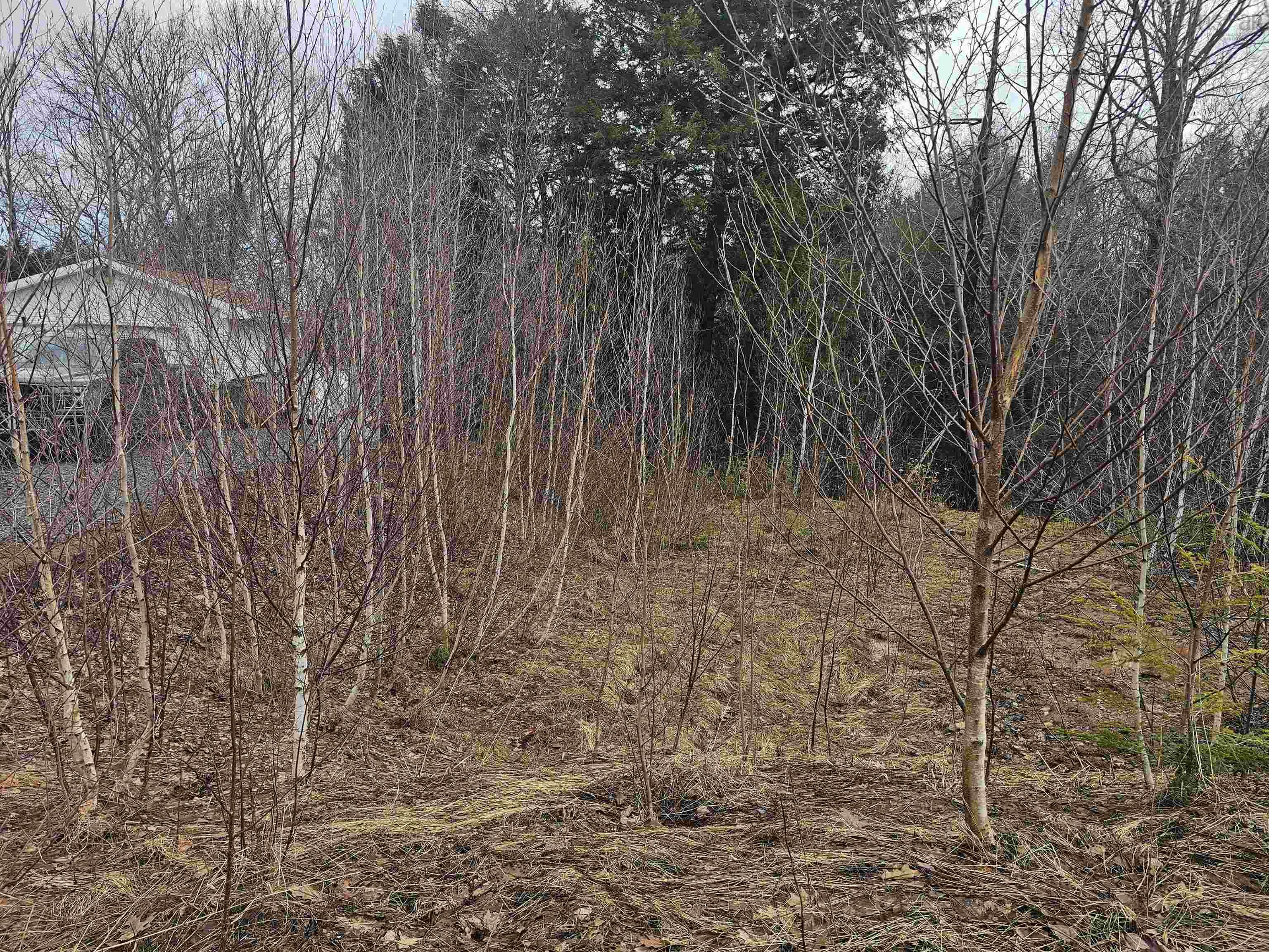 $80,000.00: Lot 142 Alicia Boulevard, Kentville