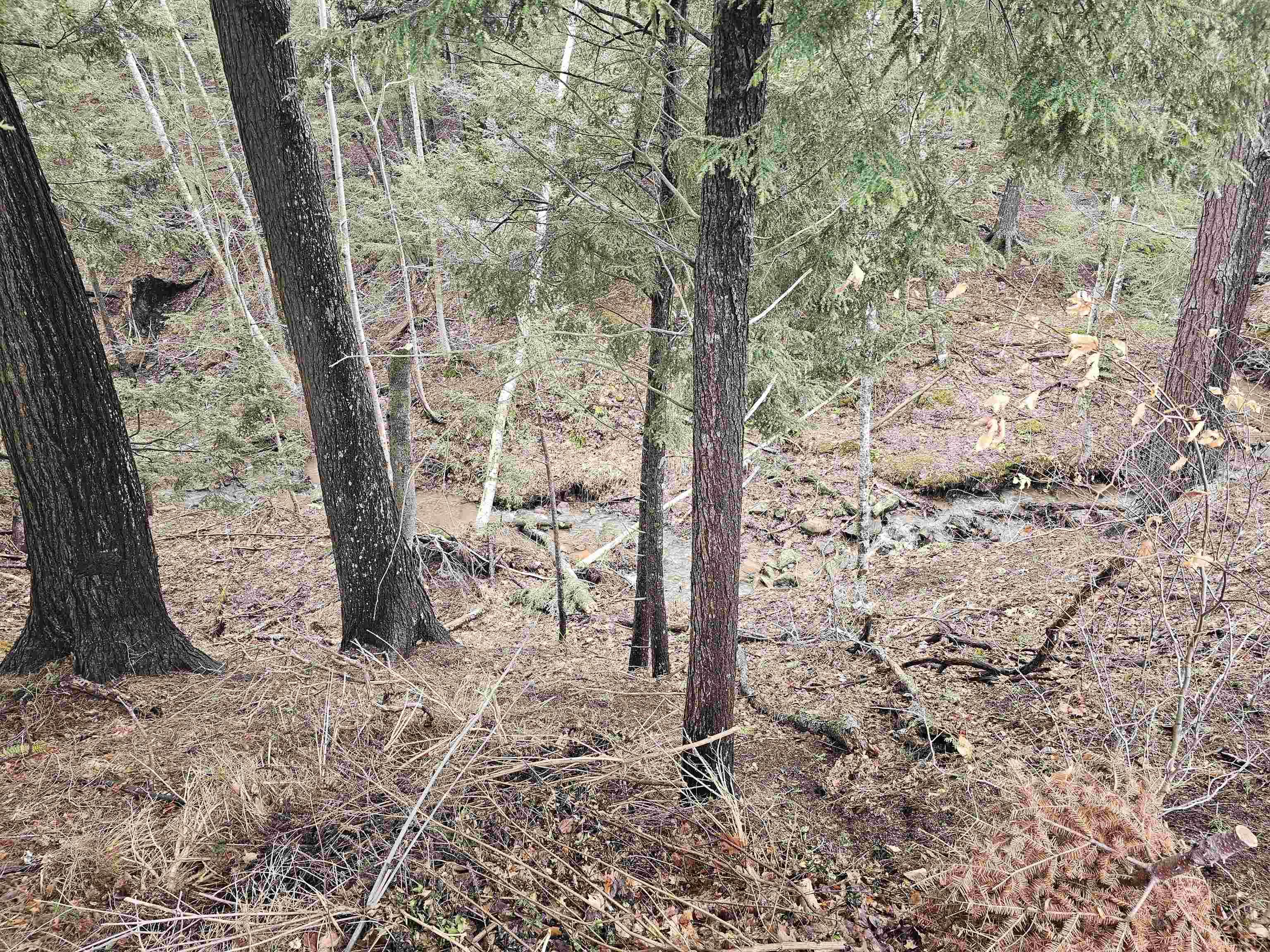 $80,000.00: Lot 142 Alicia Boulevard, Kentville