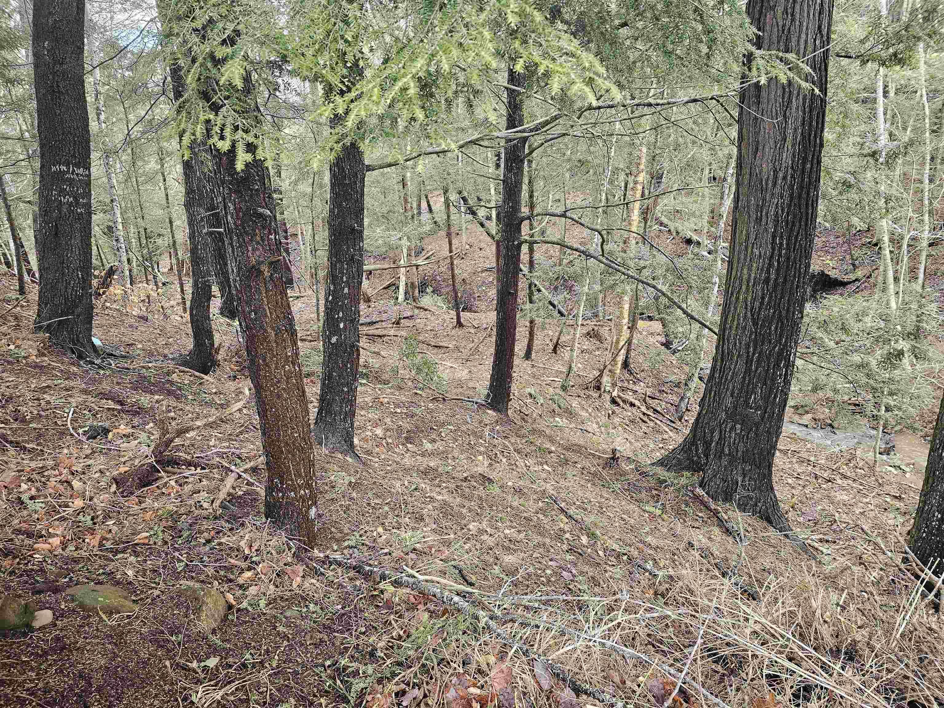 $80,000.00: Lot 142 Alicia Boulevard, Kentville