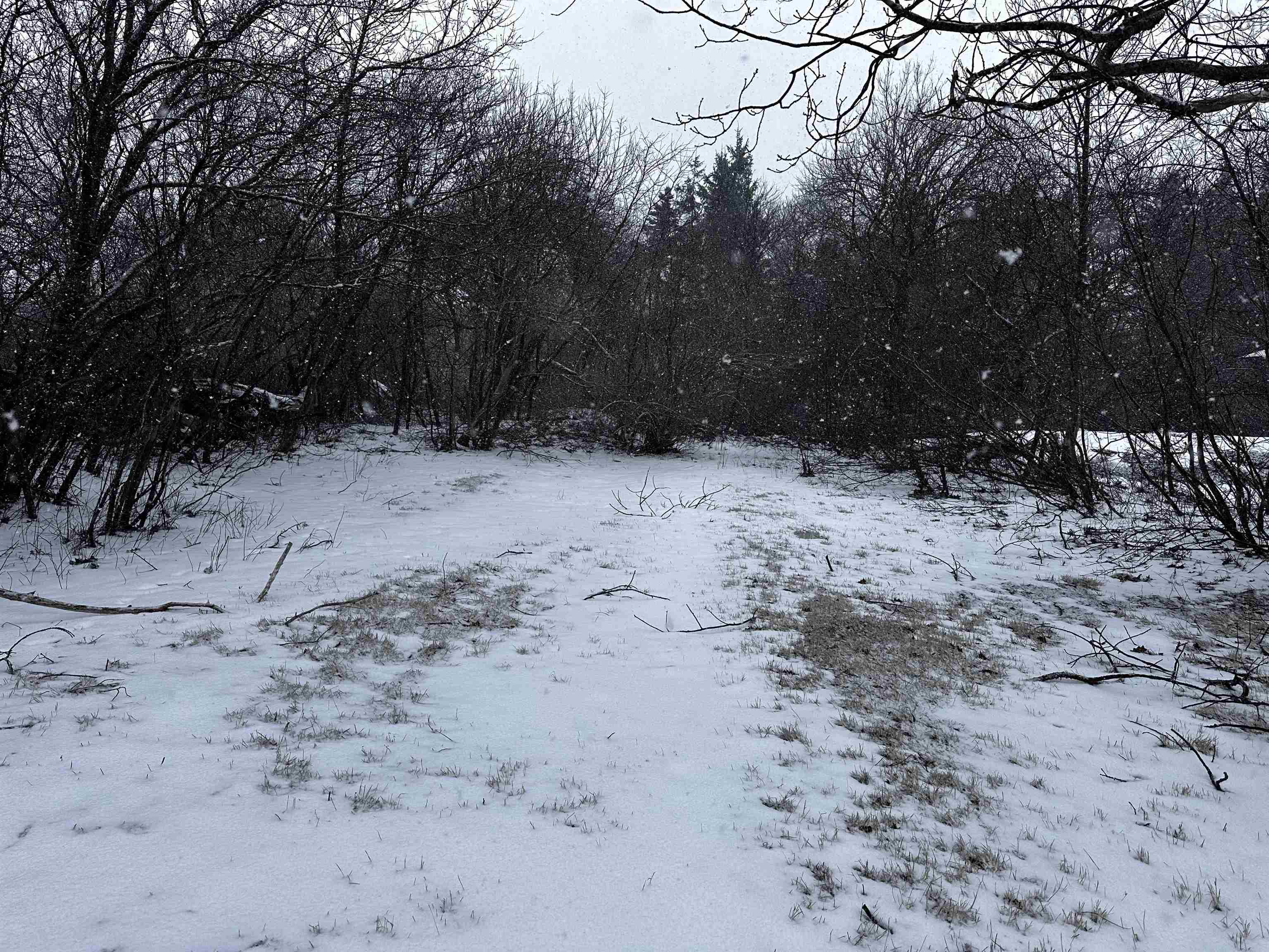 $89,900.00: 24 Reserve Street, Glace Bay