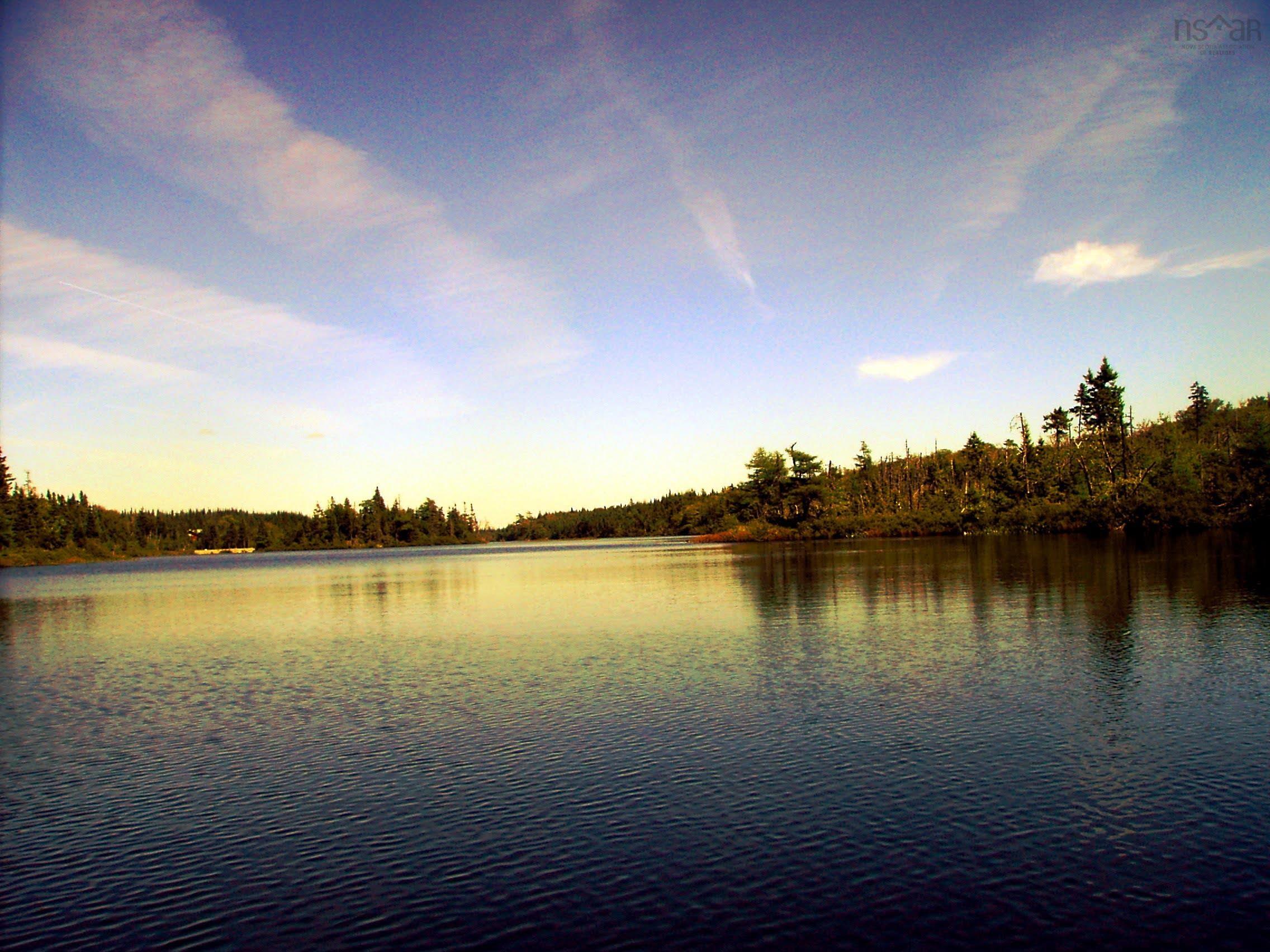 $55,000.00: 45 Joanne Langford Dr, French Road