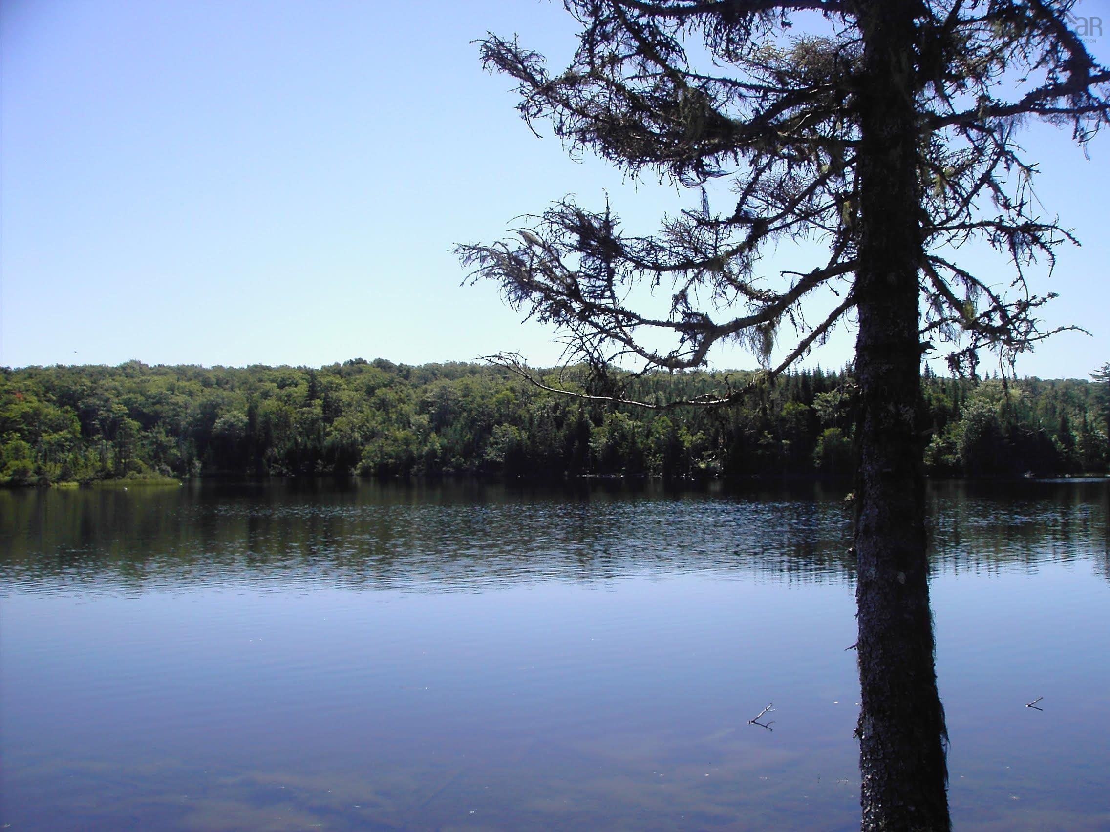 $55,000.00: 45 Joanne Langford Dr, French Road