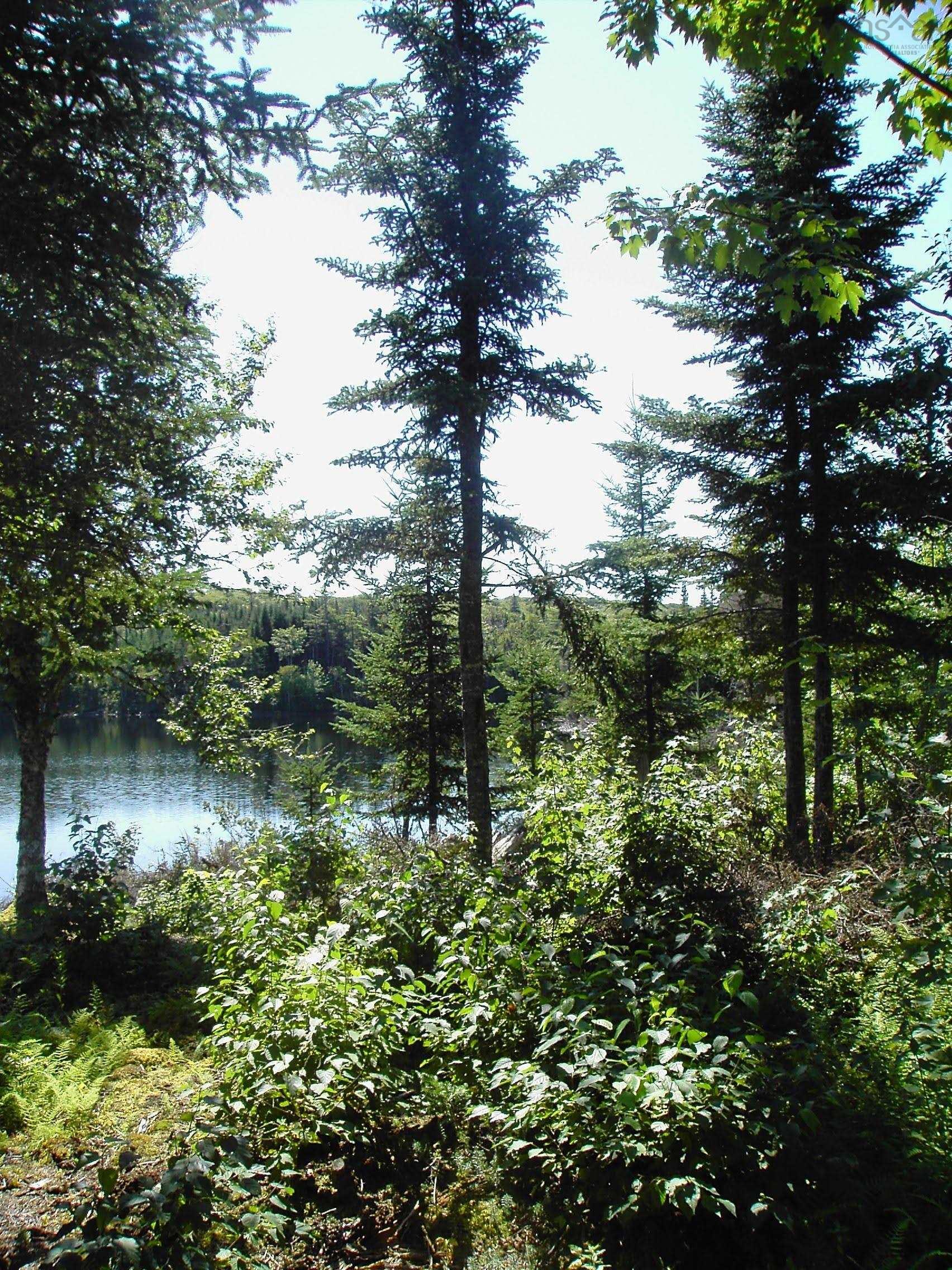 $55,000.00: 45 Joanne Langford Dr, French Road