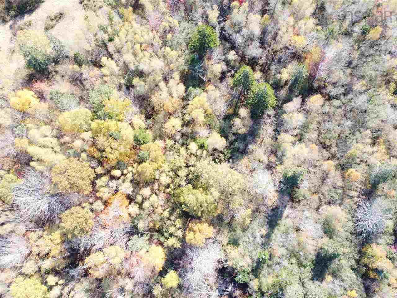 $124,000.00: 2008-1 Highway 1, Upper Clements