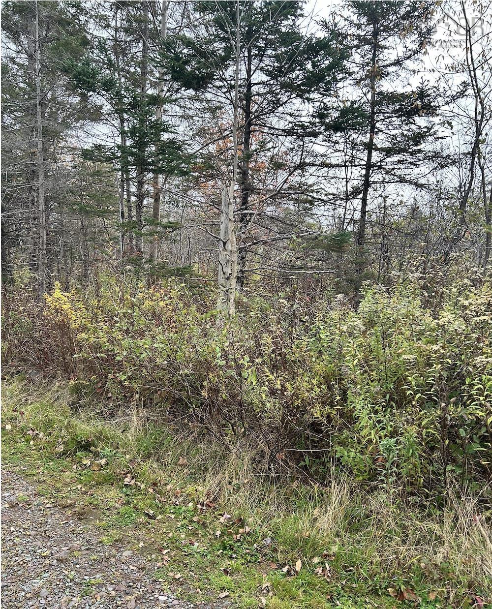 $35,000.00: Lot 3 Guysborough Road, St Andrew
