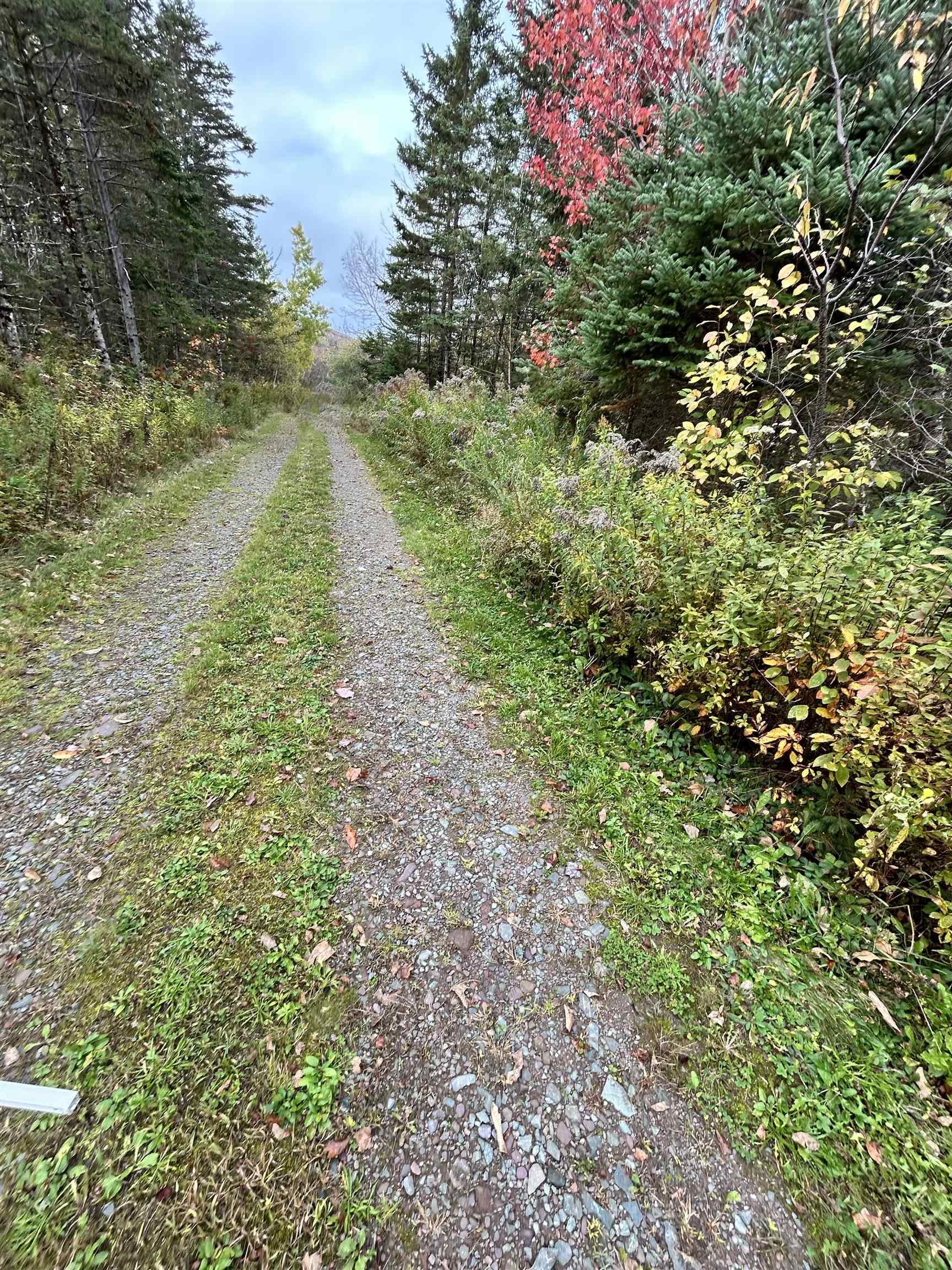 $25,000.00: Guysborough Road, St Andrew