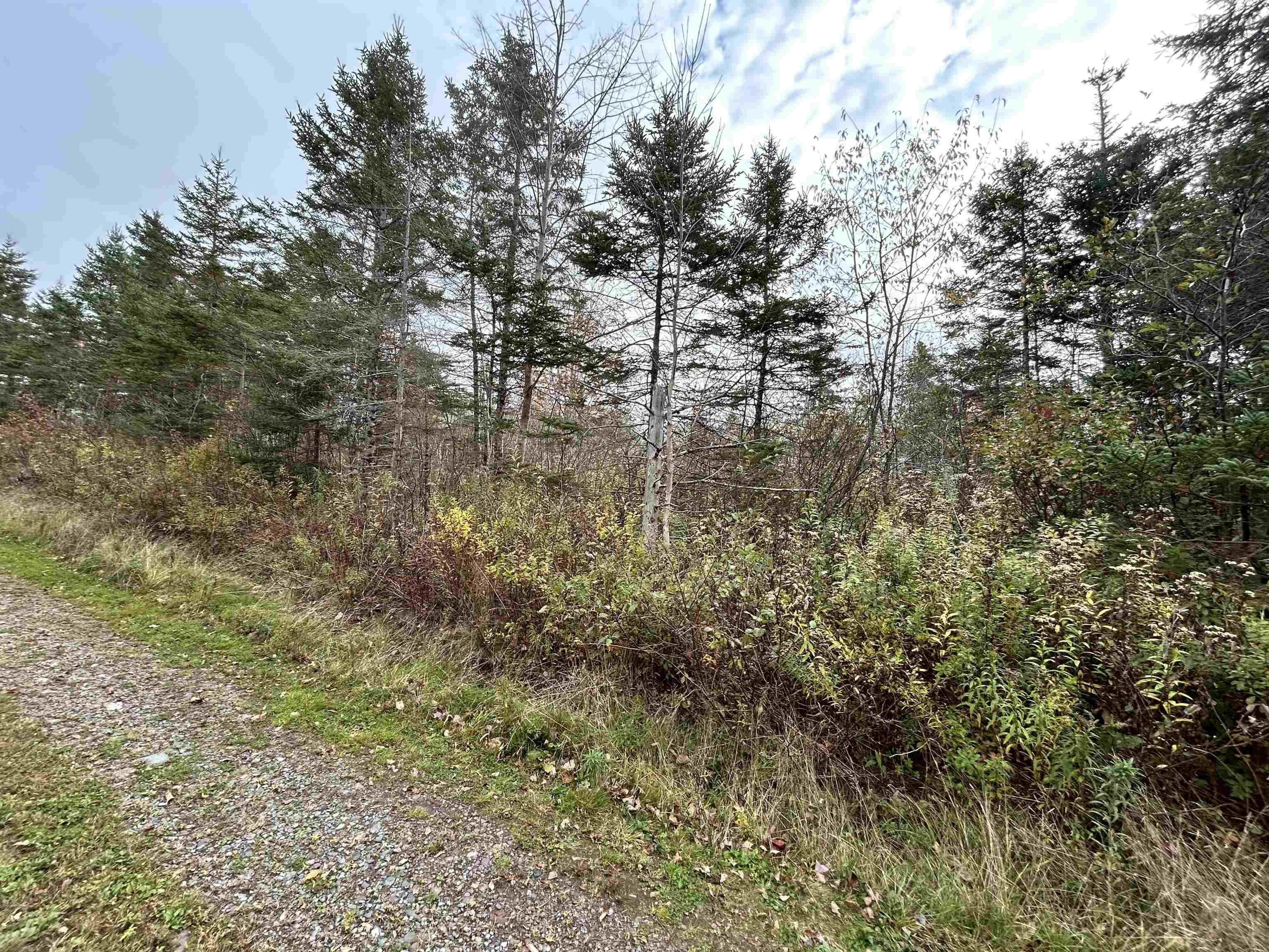 $25,000.00: Guysborough Road, St Andrew