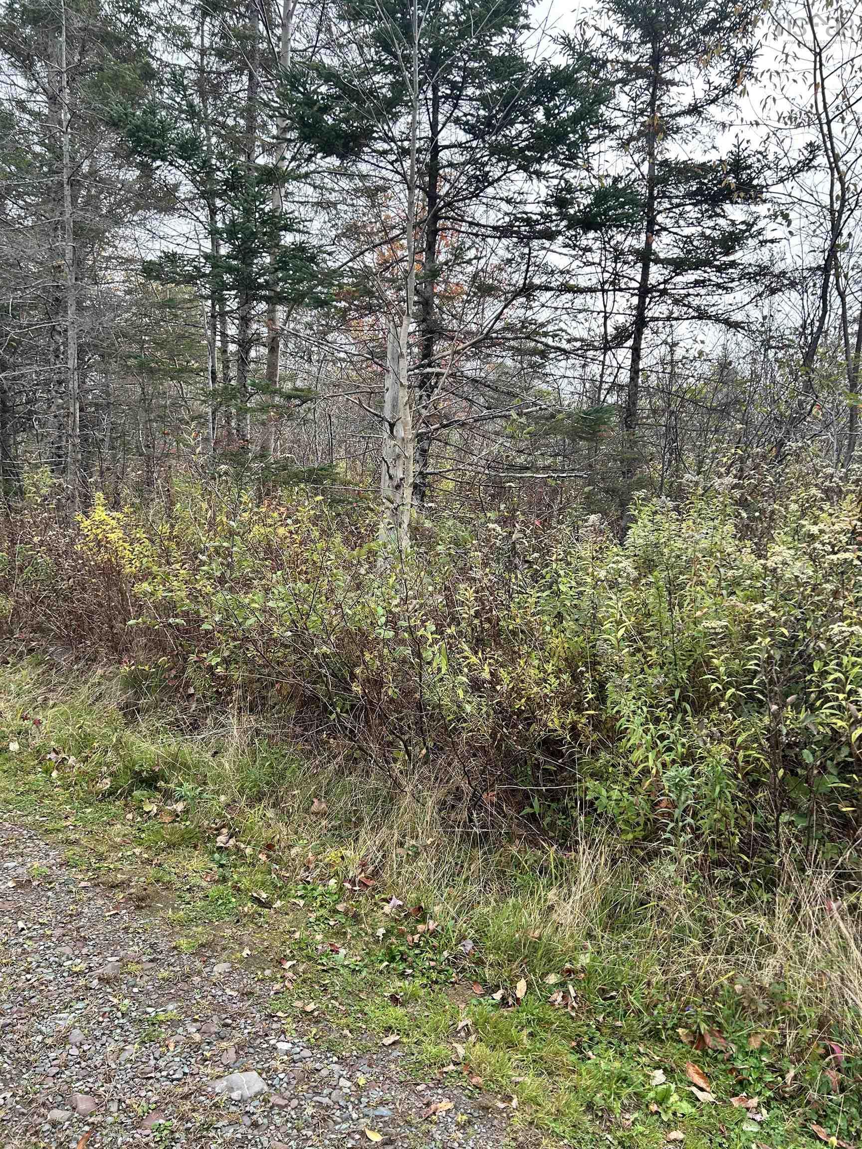 $25,000.00: Guysborough Road, St Andrew