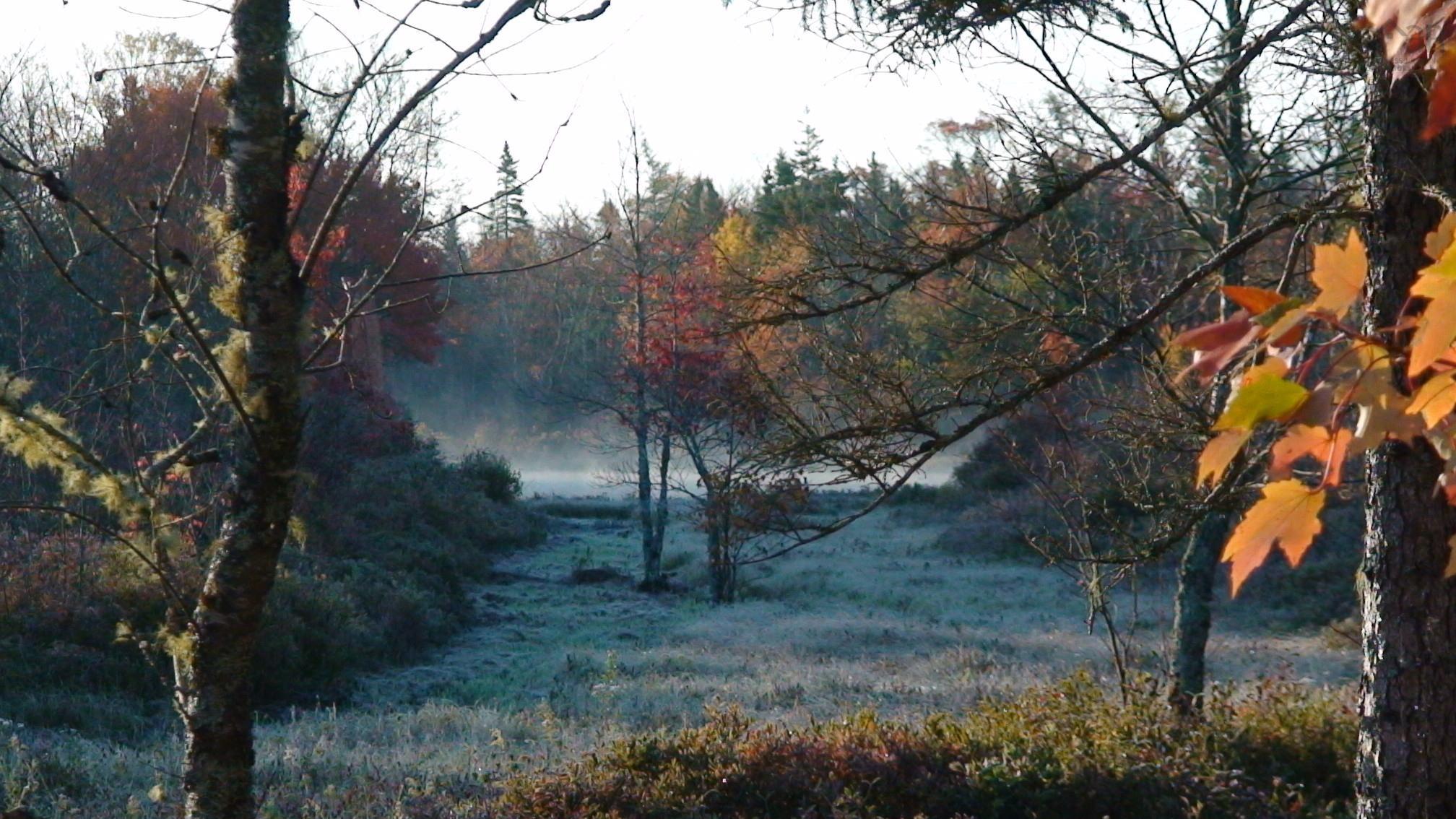 $200,000.00: Lot Napier River, East Kemptville