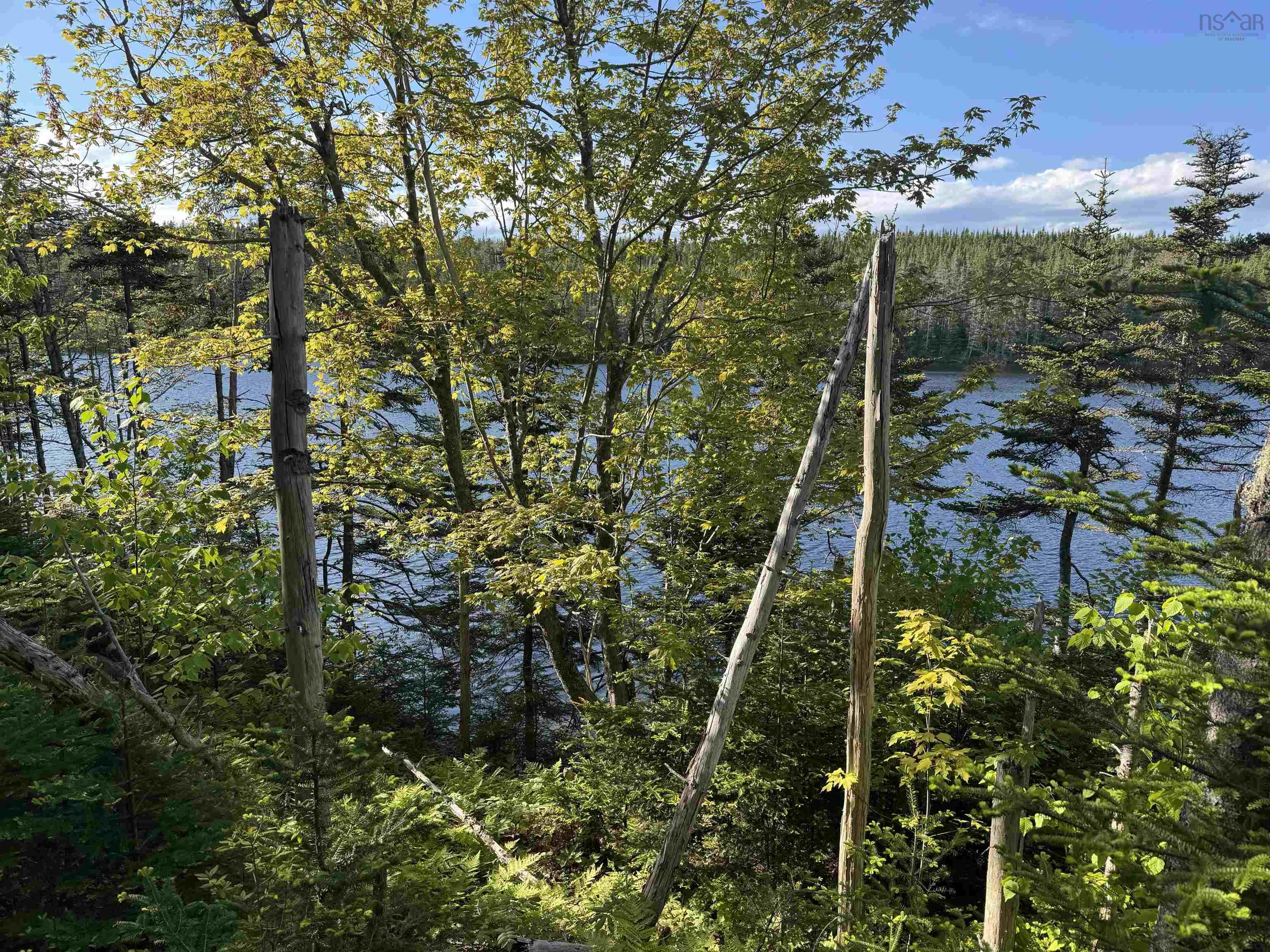 $20,000.00: Lot Highway 206, Arichat