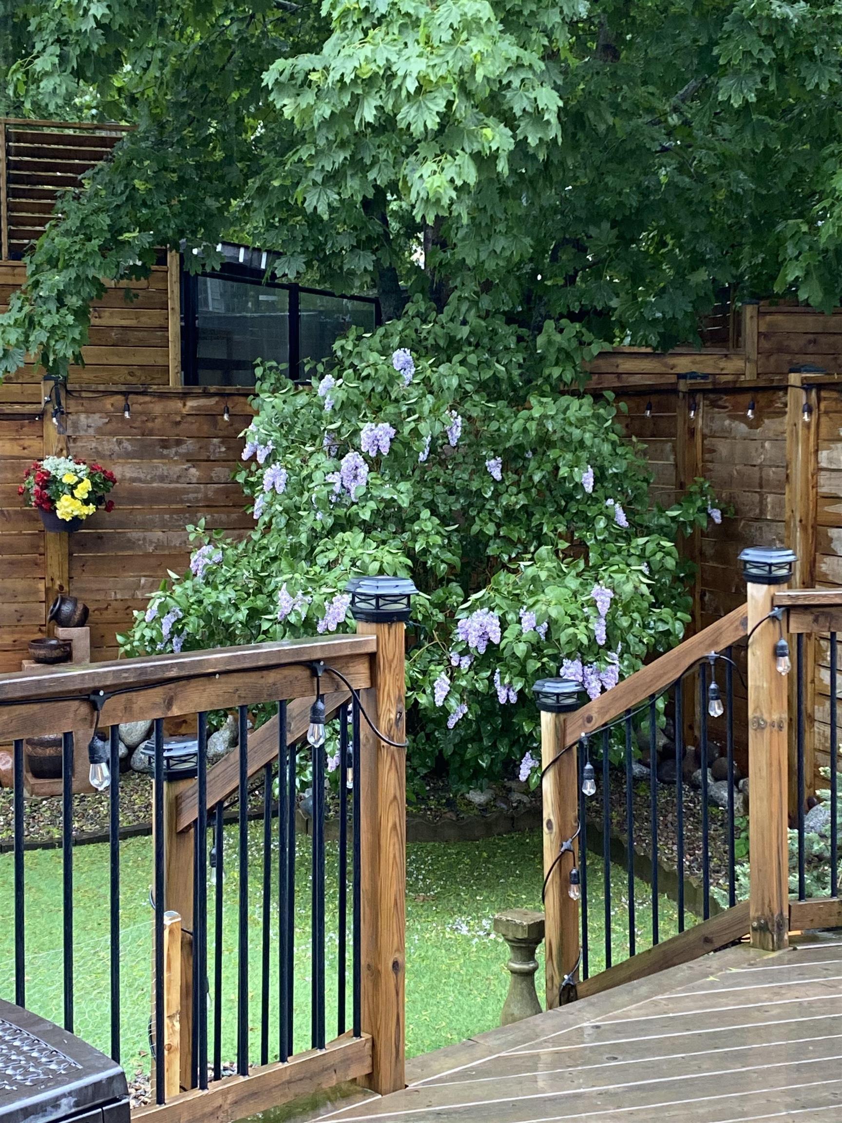 2981 Connolly Street, Halifax, NS (MLS 202605861)