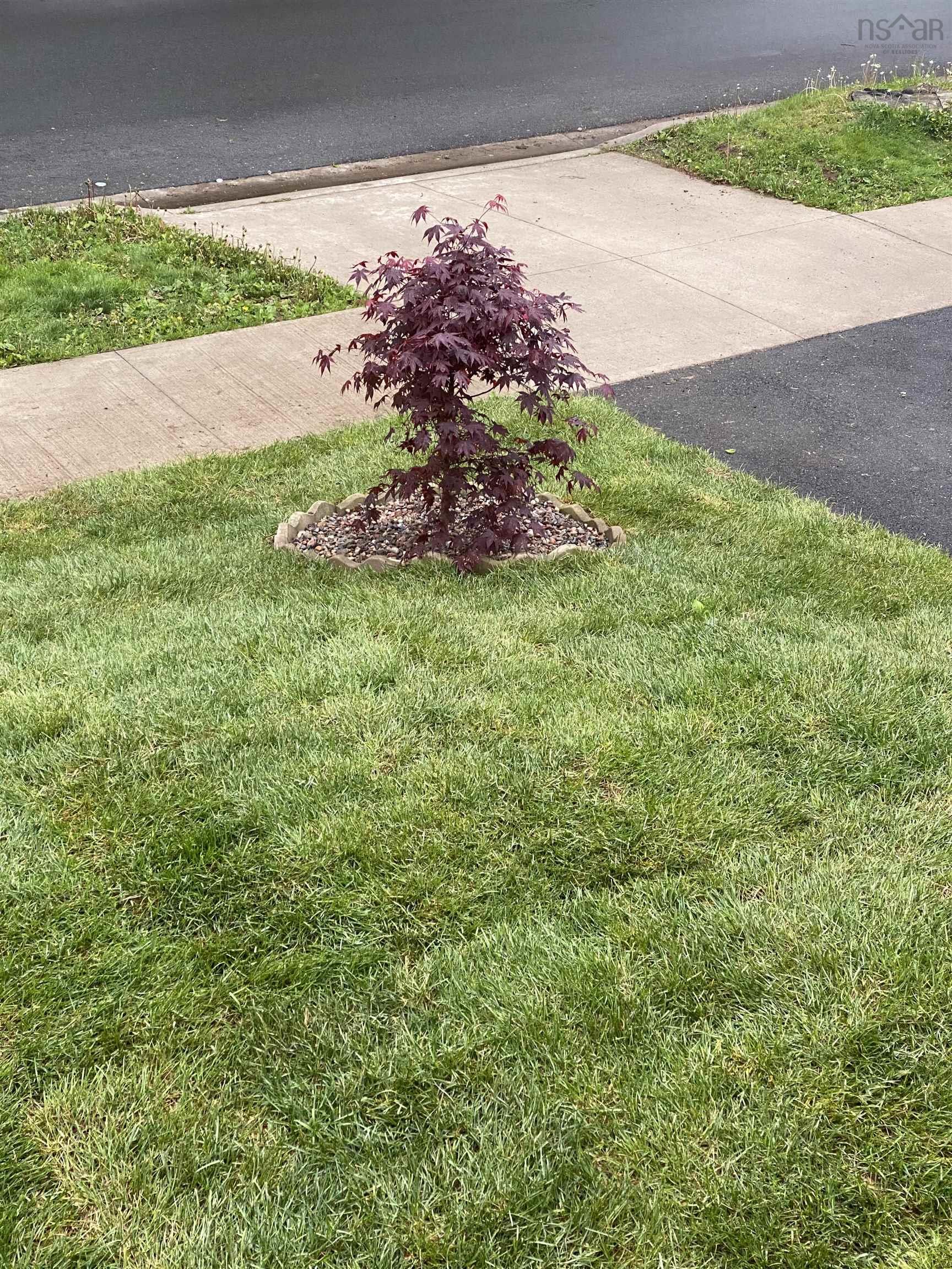 2981 Connolly Street, Halifax, NS (MLS 202605861)