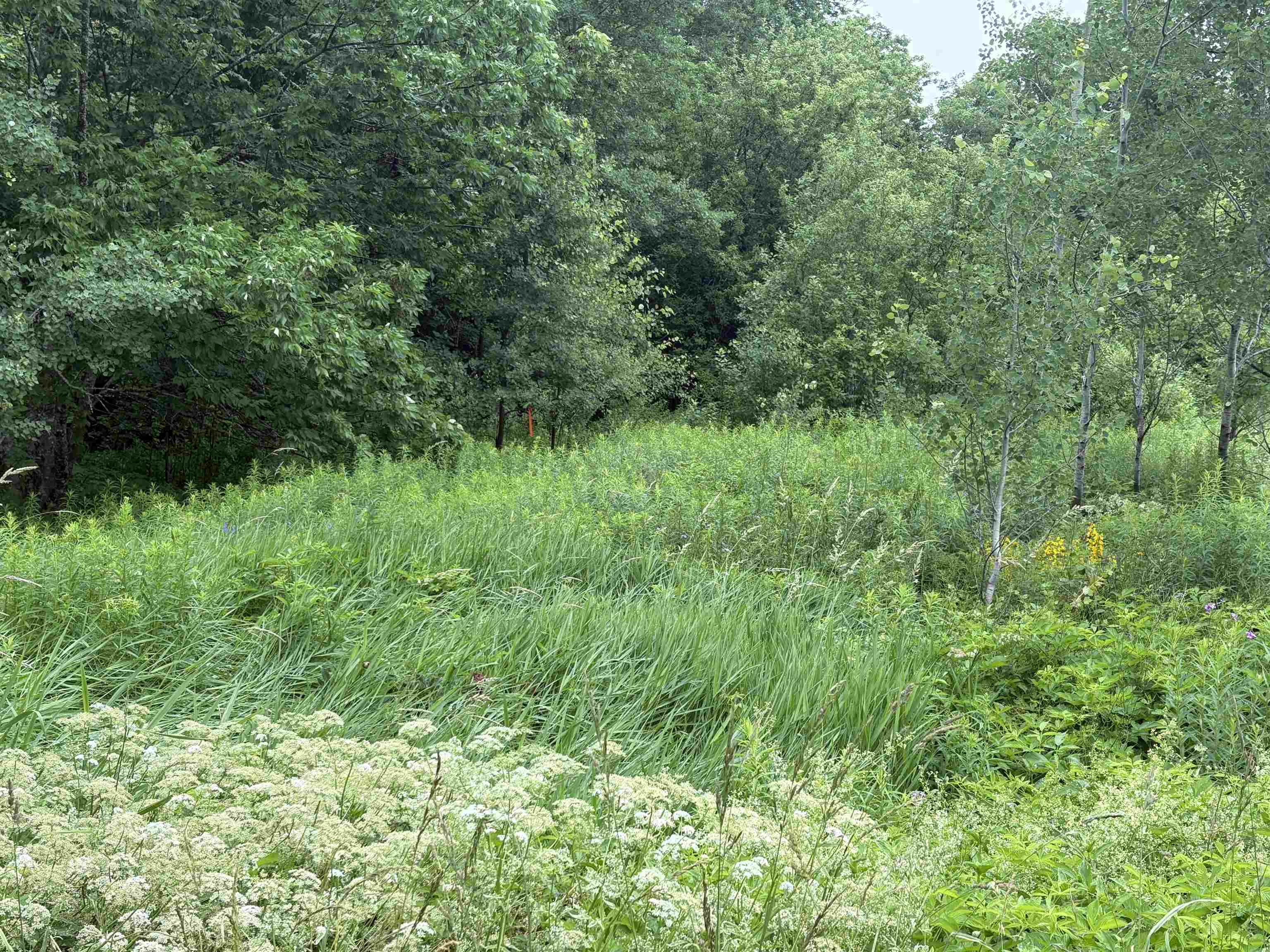 $34,900.00: Lot 235 Landsdowne Station Road, Lansdowne Station