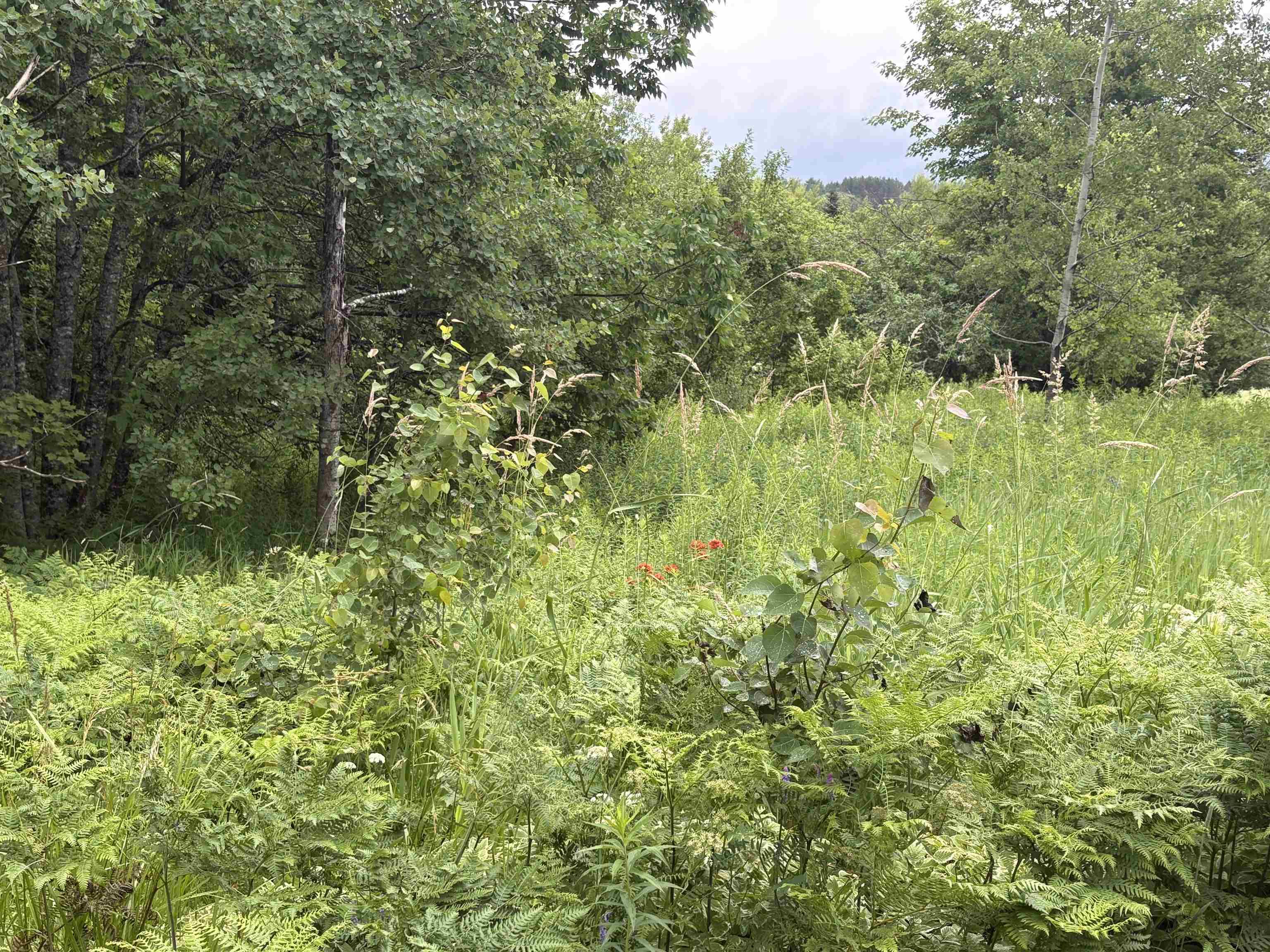 $34,900.00: Lot 235 Landsdowne Station Road, Lansdowne Station