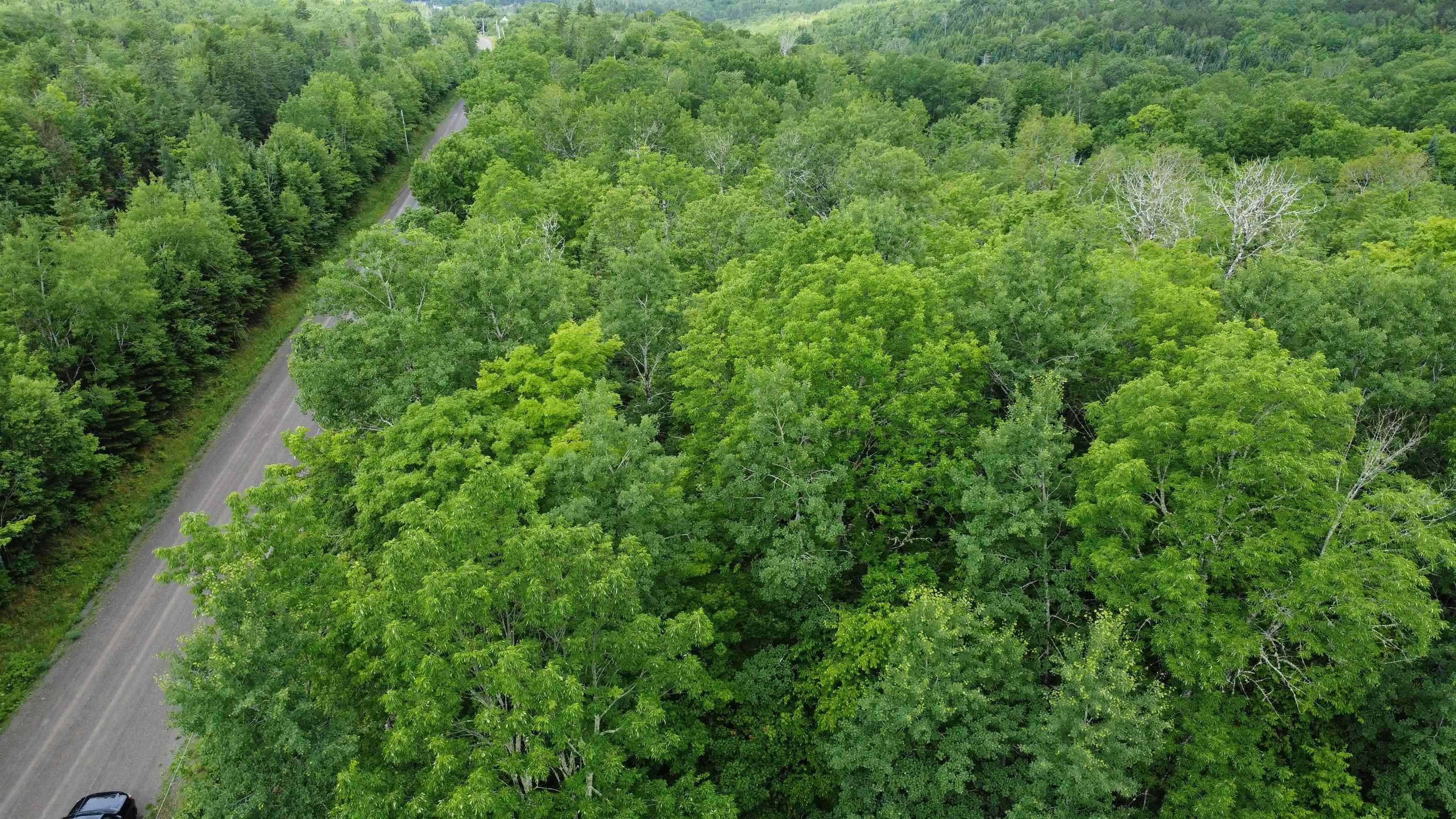 $34,900.00: Lot 235 Landsdowne Station Road, Lansdowne Station