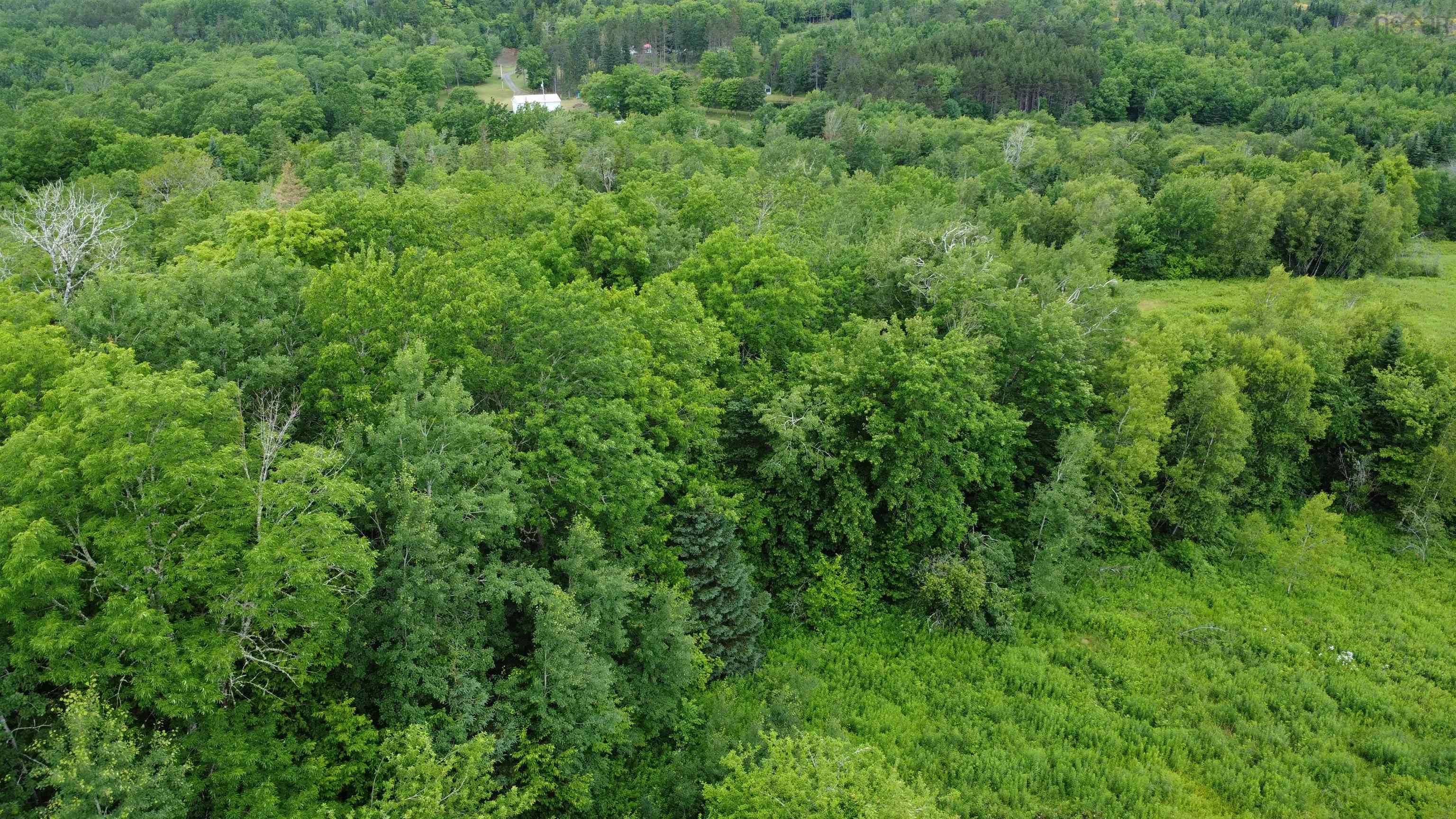 $34,900.00: Lot 235 Landsdowne Station Road, Lansdowne Station