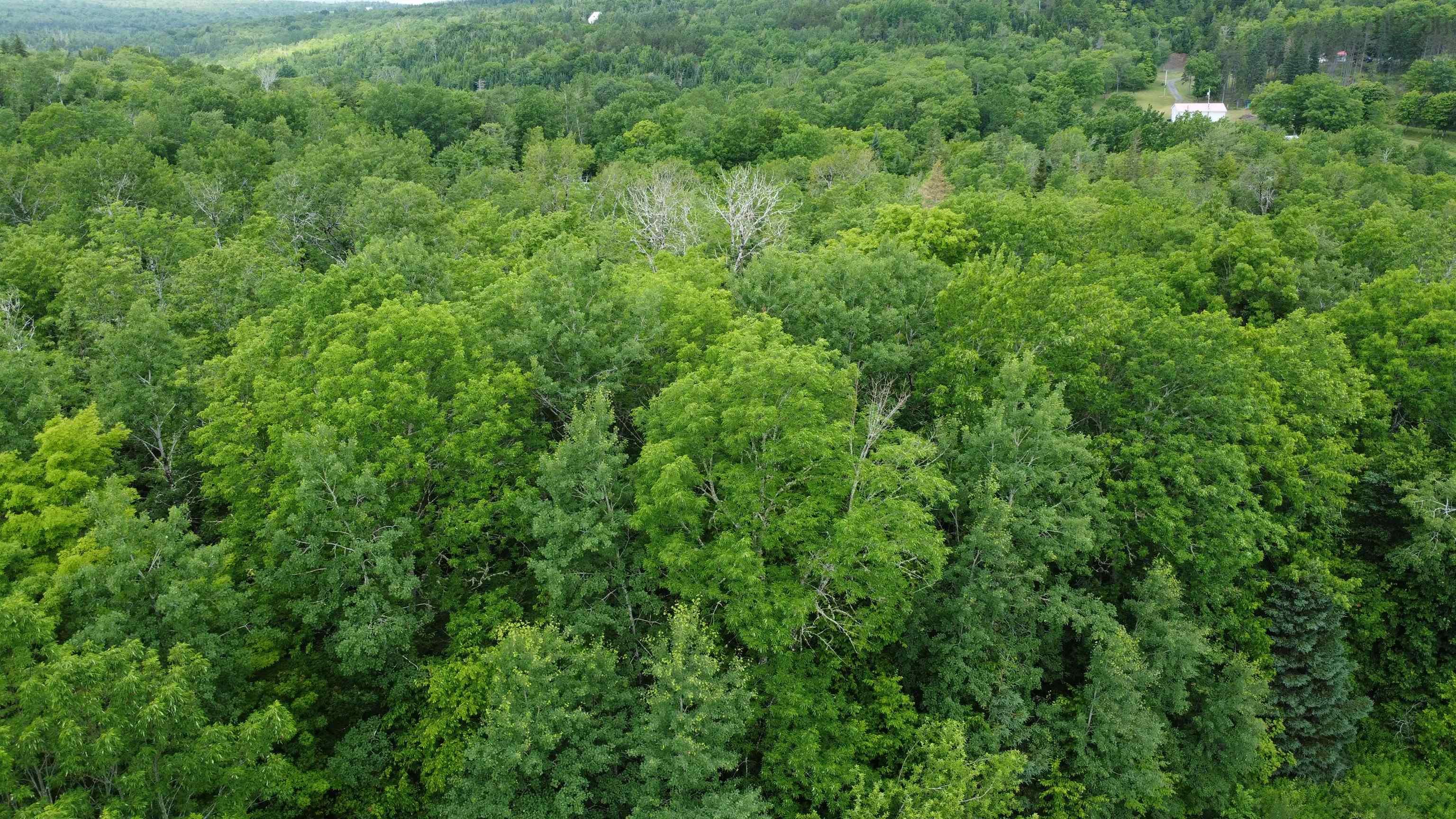 $34,900.00: Lot 235 Landsdowne Station Road, Lansdowne Station