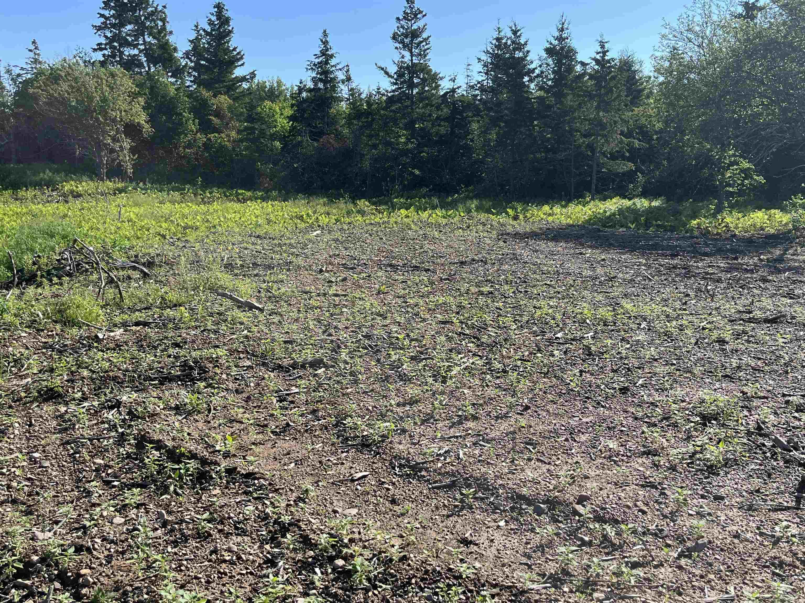 $89,900.00: Lot 11-1Z Galt Pond Road, Lower Barneys River